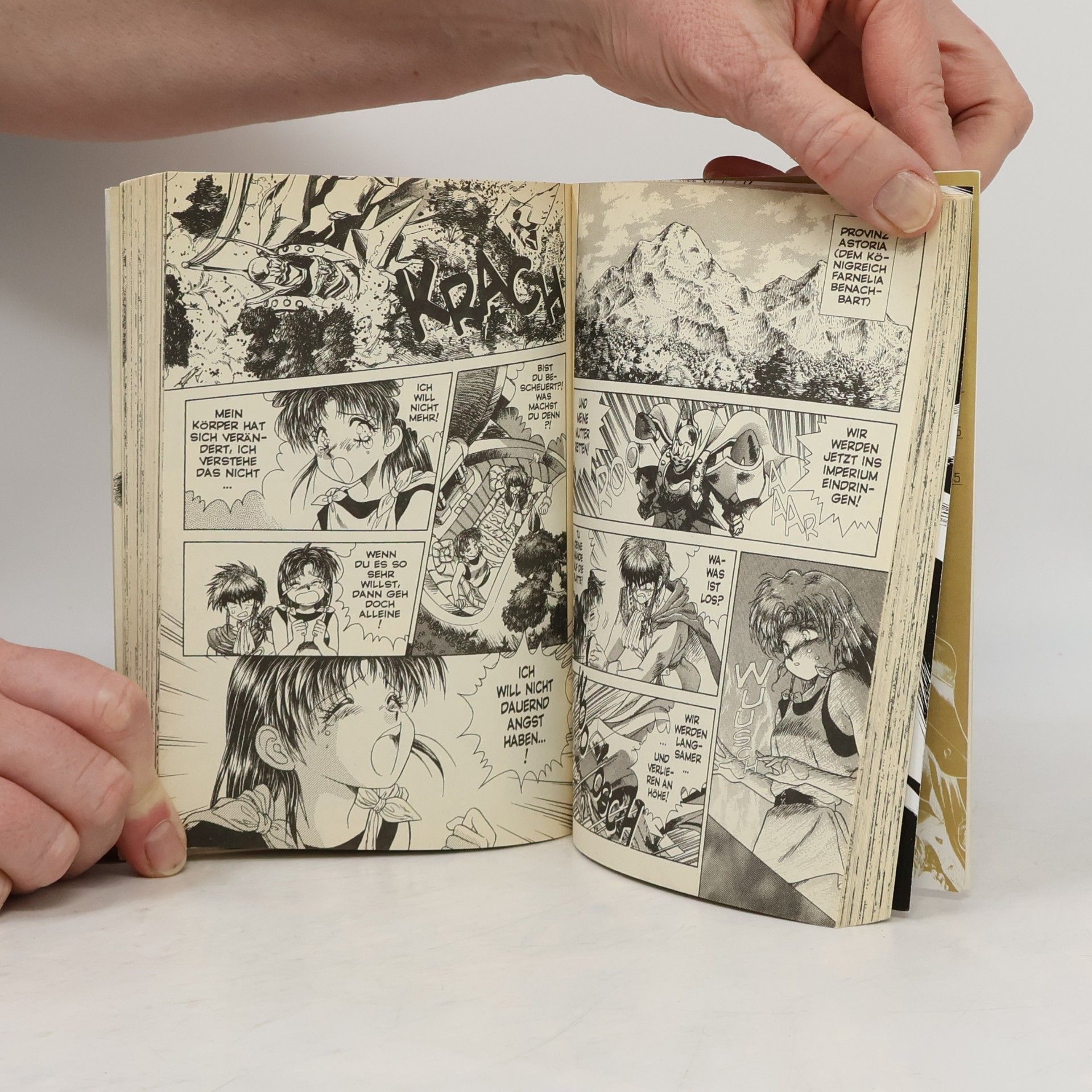 Katsu Aki Visions of Escaflowne