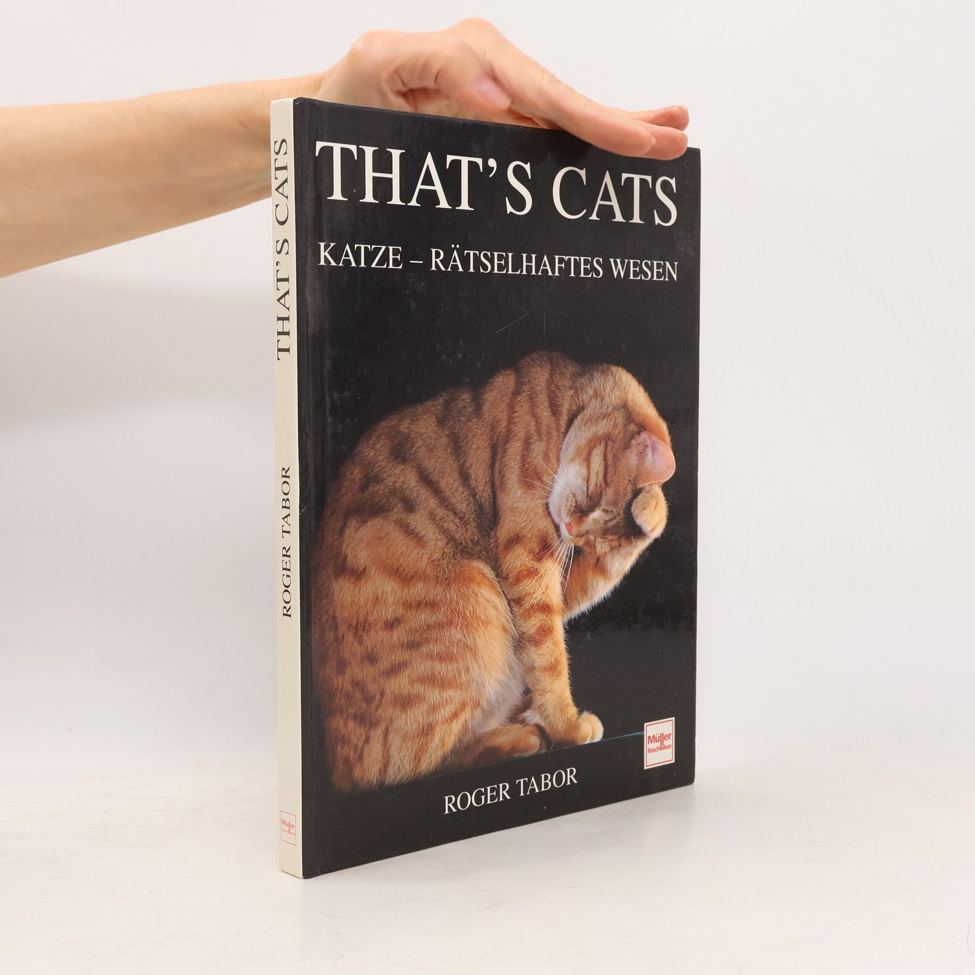 That's Cats
