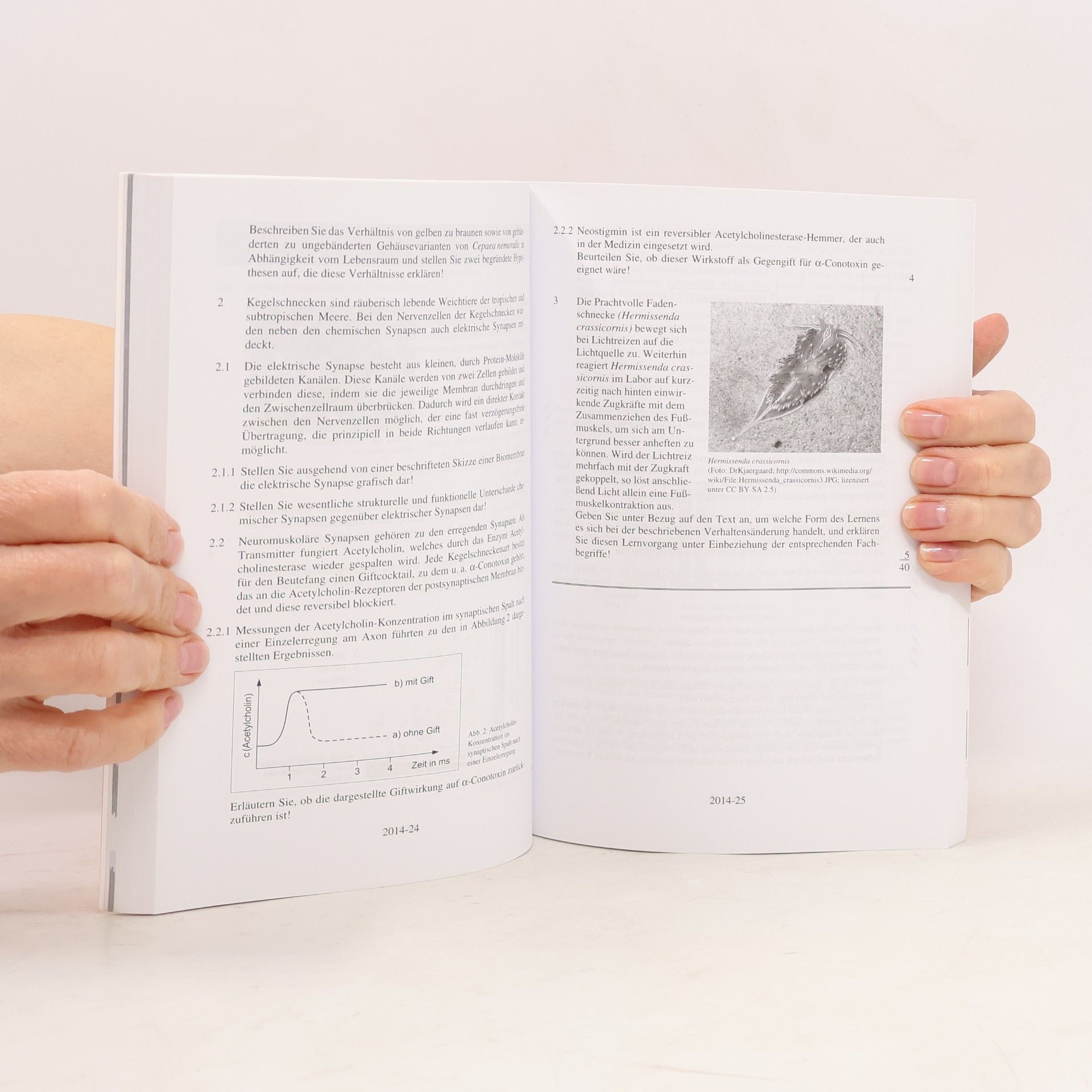 Abiturprüfung Bayern 2018 - Biologie: Original-Prüfungsaufgaben mit Lösungen 2012-2017