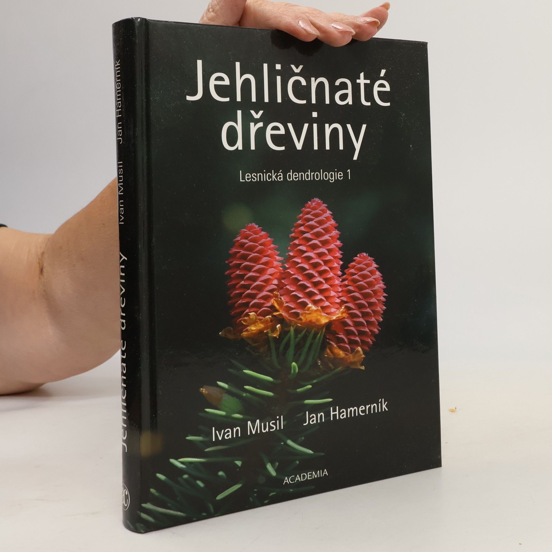 Jan Hamerník Jehličnaté dřeviny
