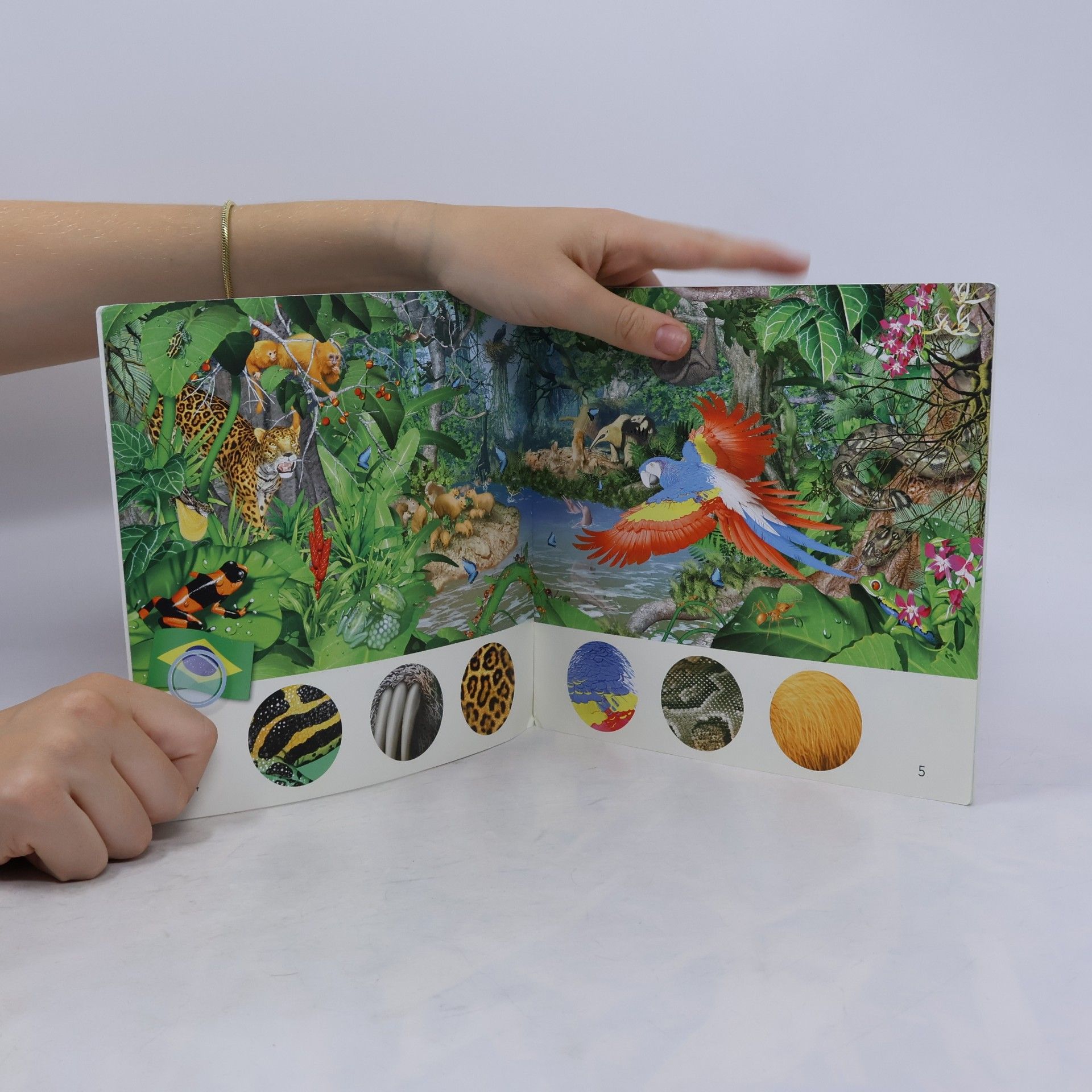 Emily Guille Marrett Collins Big Cat Phonics for Letters and Sounds - 0: Animal Fun