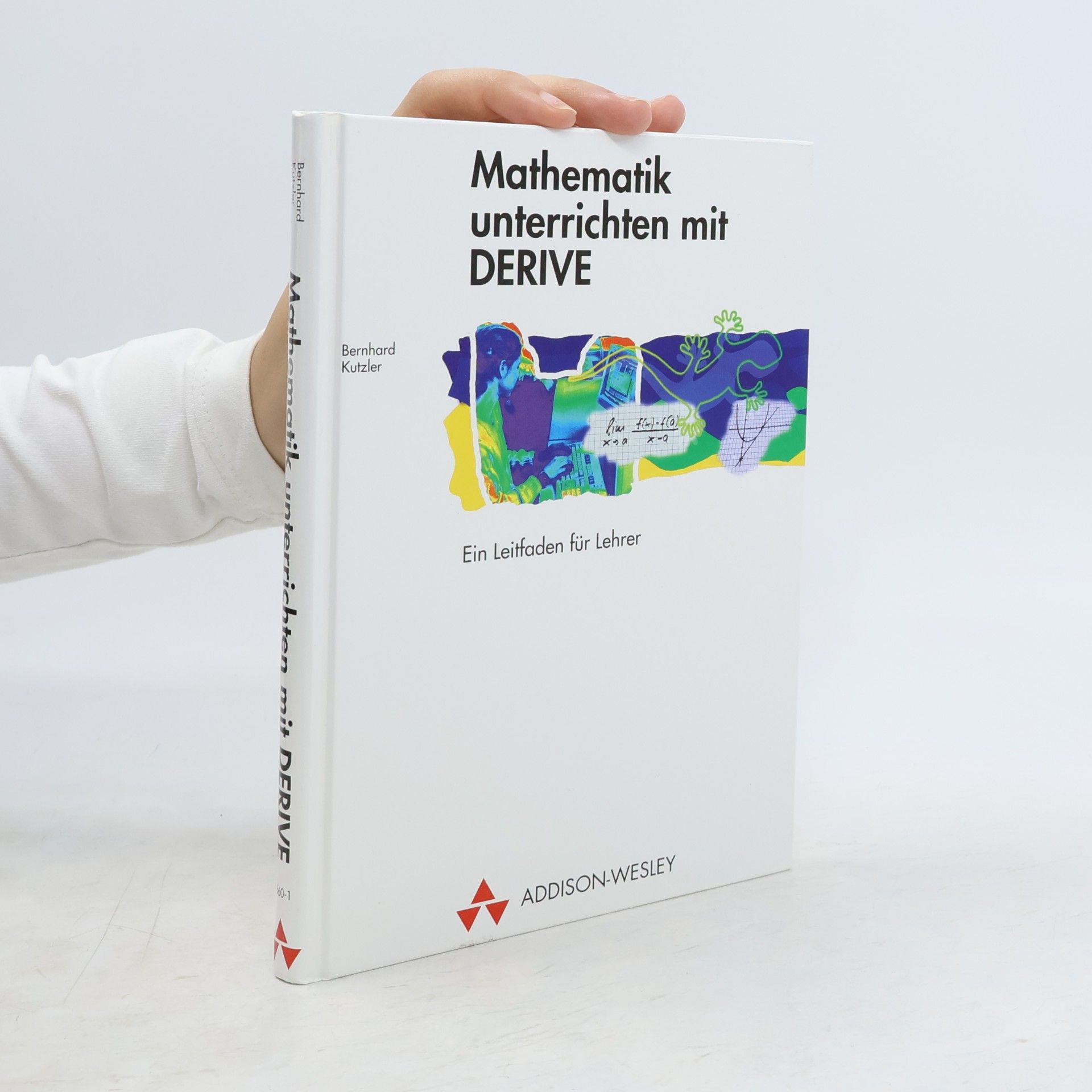 Mathematik unterrichten mit DERIVE