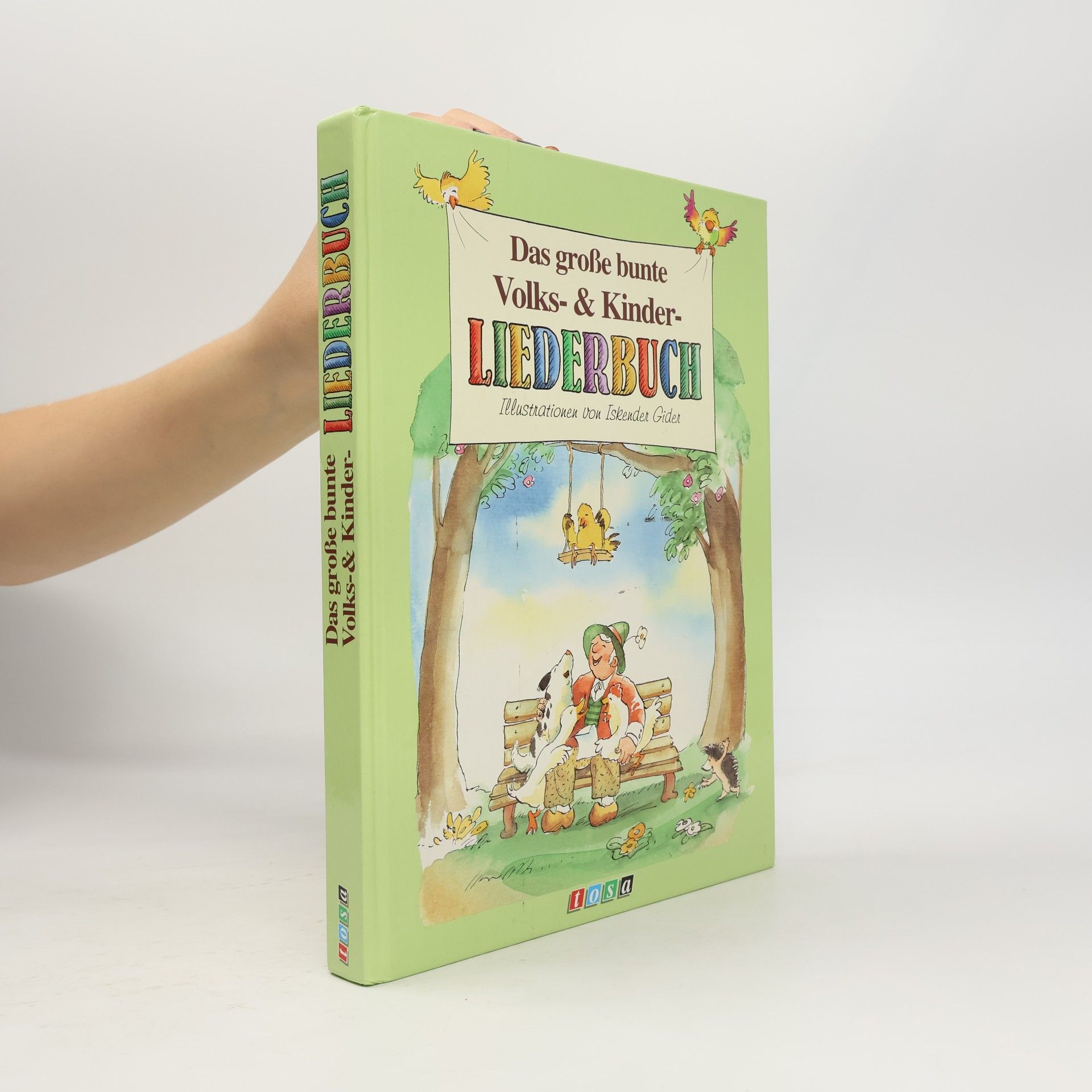 Das grosse bunte Volks-&-Kinder-Liederbuch