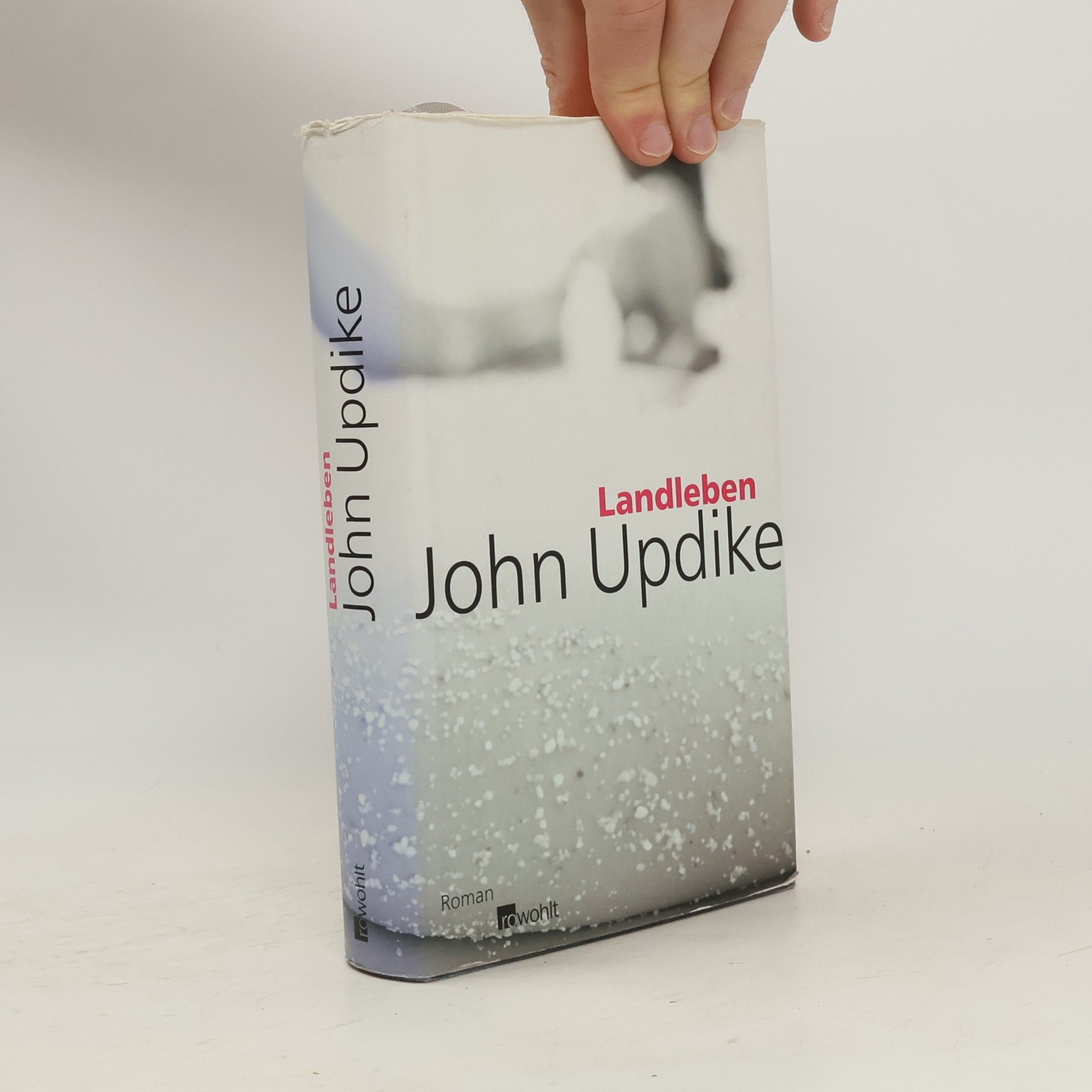 John Updike Landleben