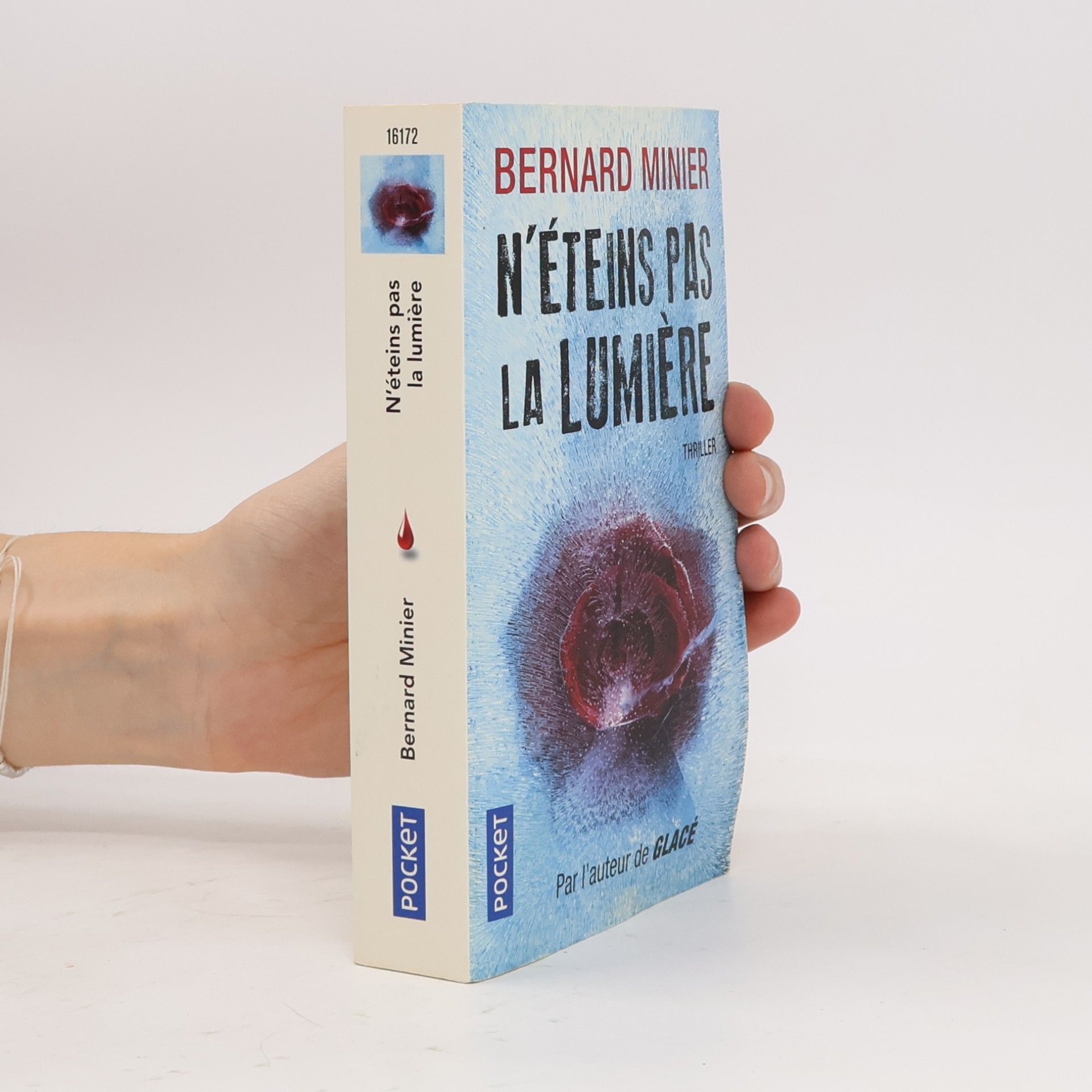 Bernard Minier N'éteins pas la lumière