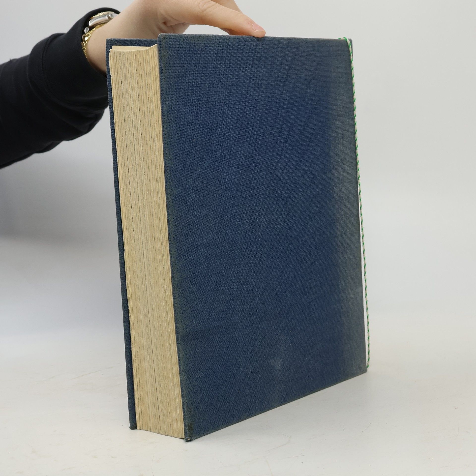 Kipling Die Dschungelbücher