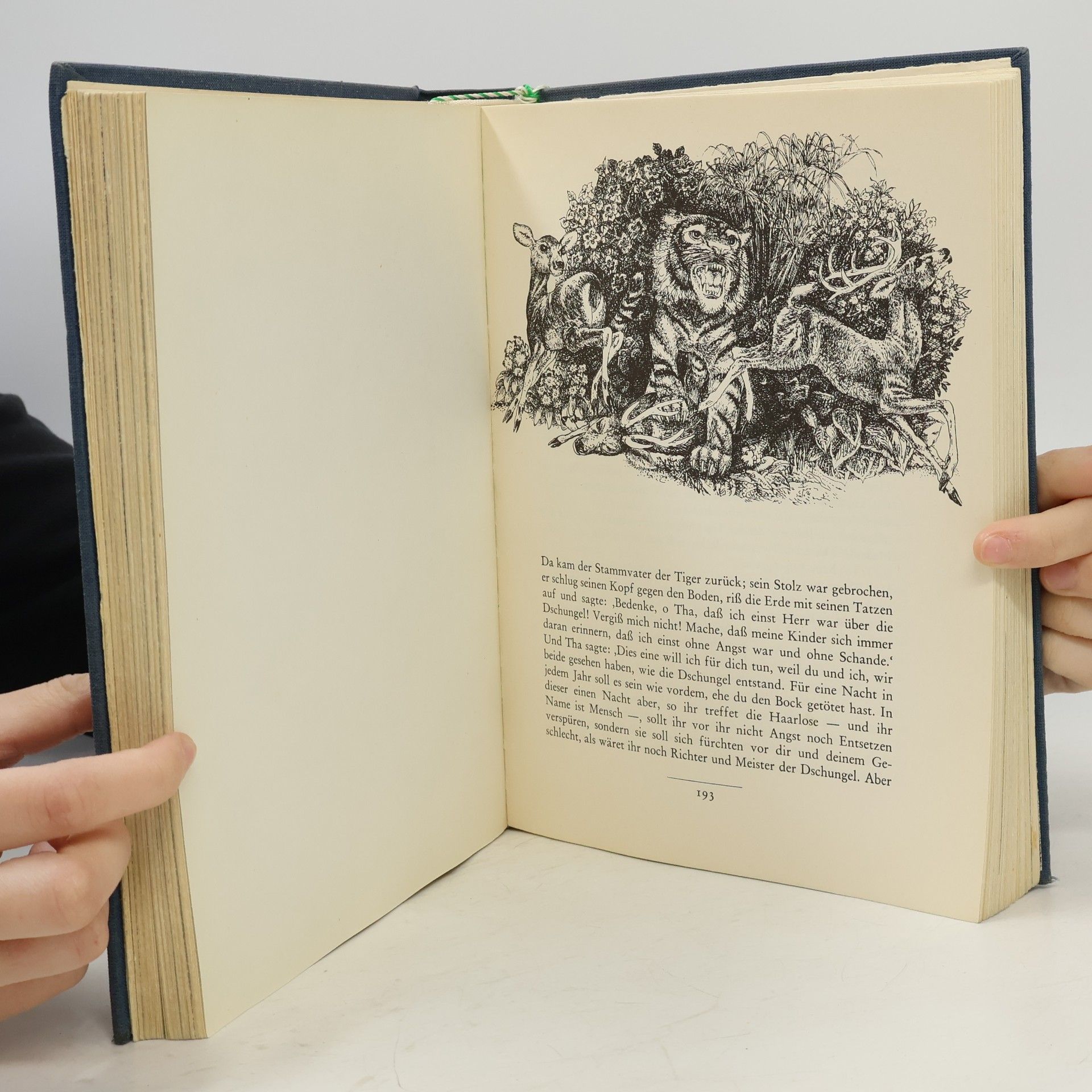 Kipling Die Dschungelbücher