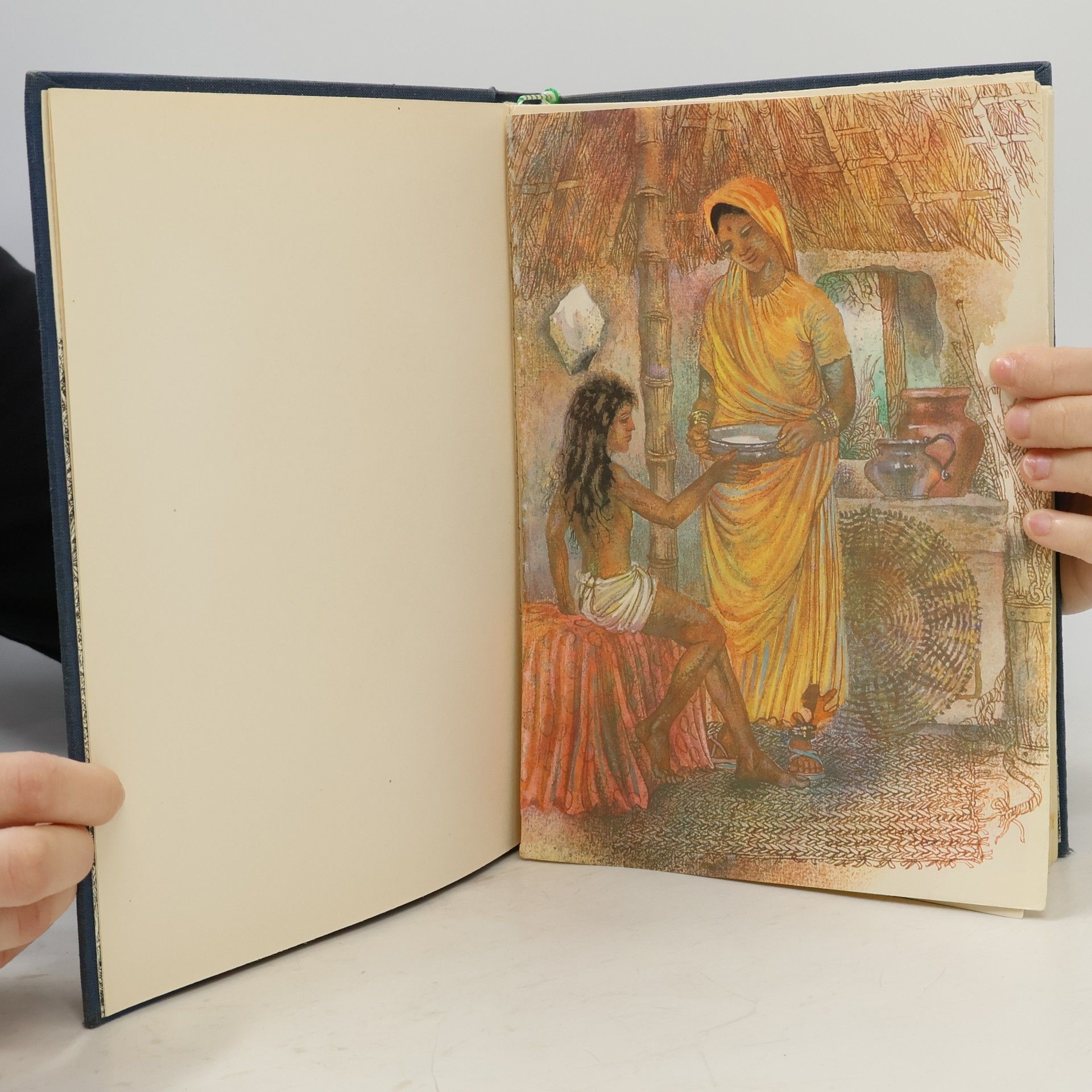 Kipling Die Dschungelbücher