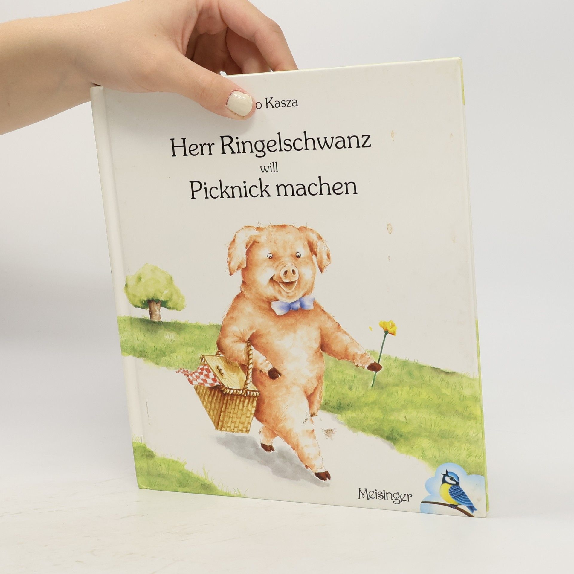 Keiko Kasza Herr Ringelschwanz will Picknick machen