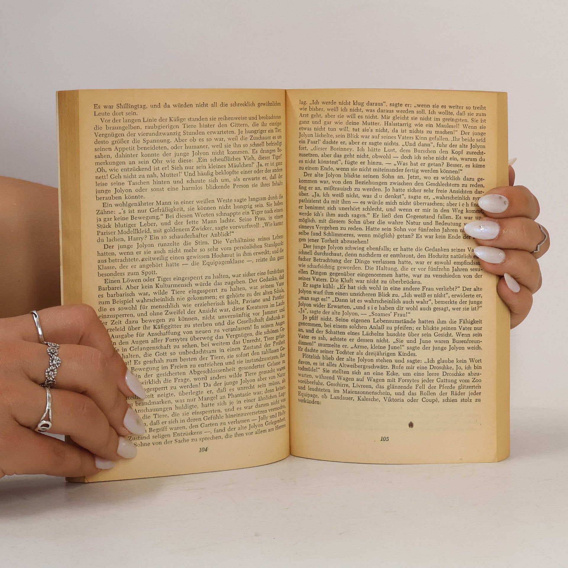 John Galsworthy Das Schicksal der Irene Forsyte