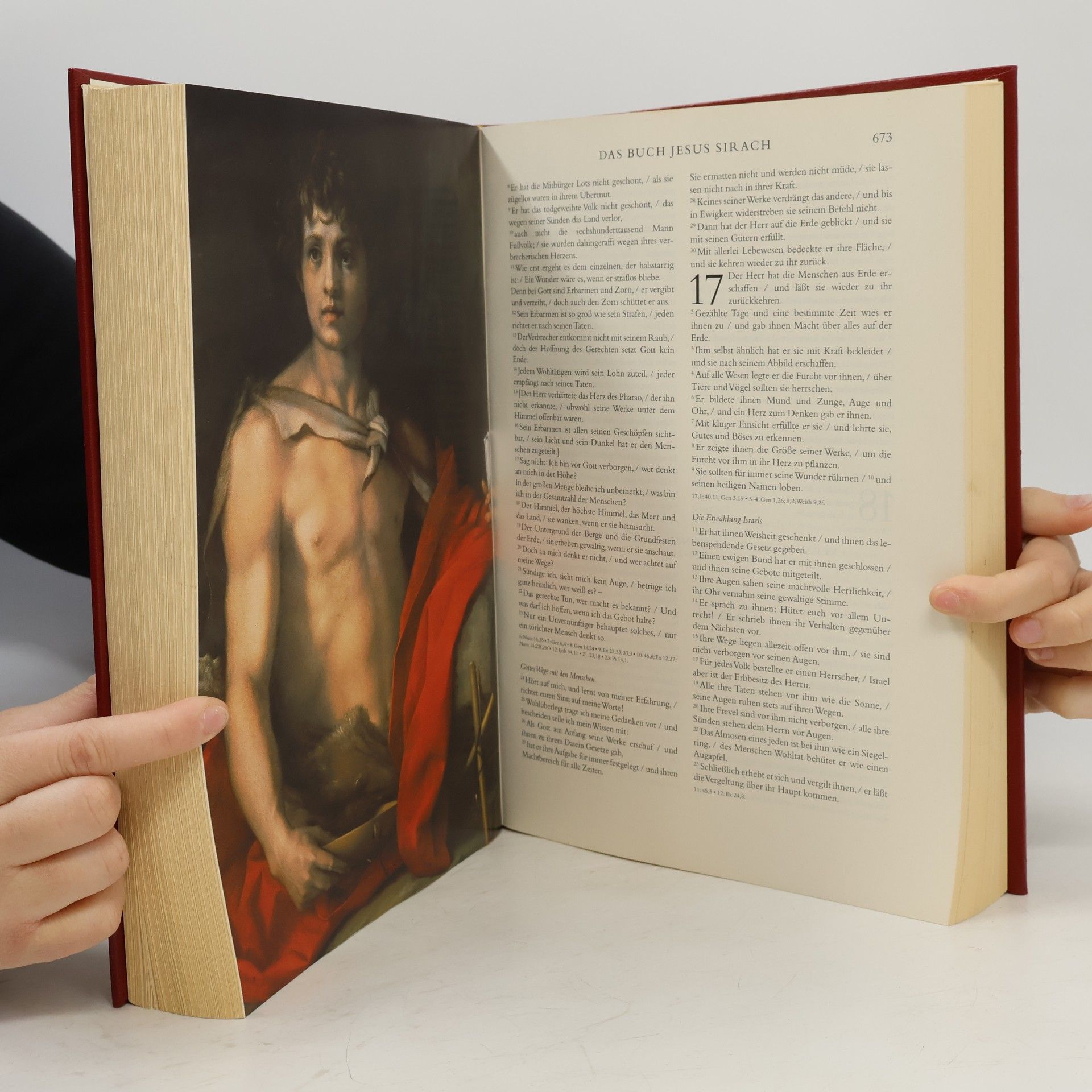 Autorenkollektiv Die Bibel