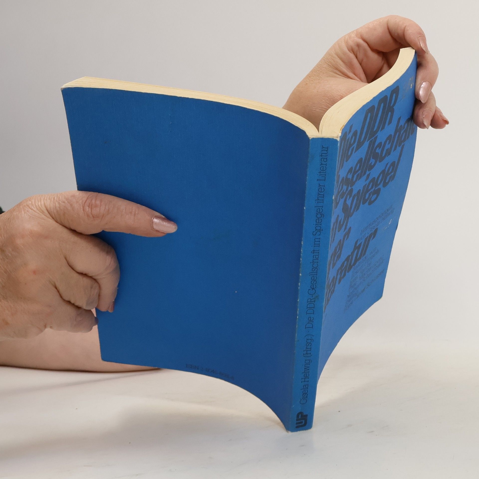 Gisela Helwig Die DDR-Gesellschaft im Spiegel ihrer Literatur