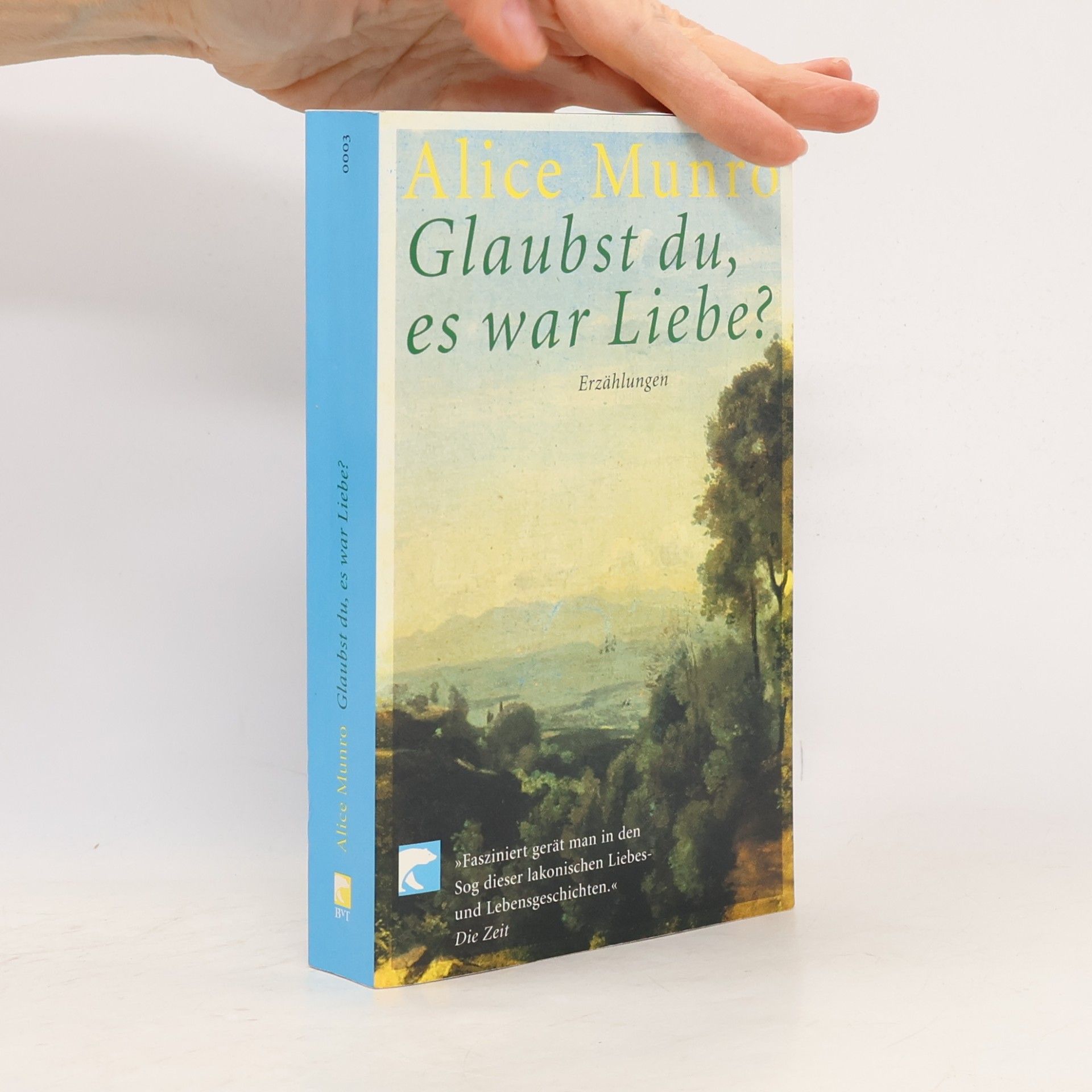 Alice Munro Glaubst du, es war Liebe?