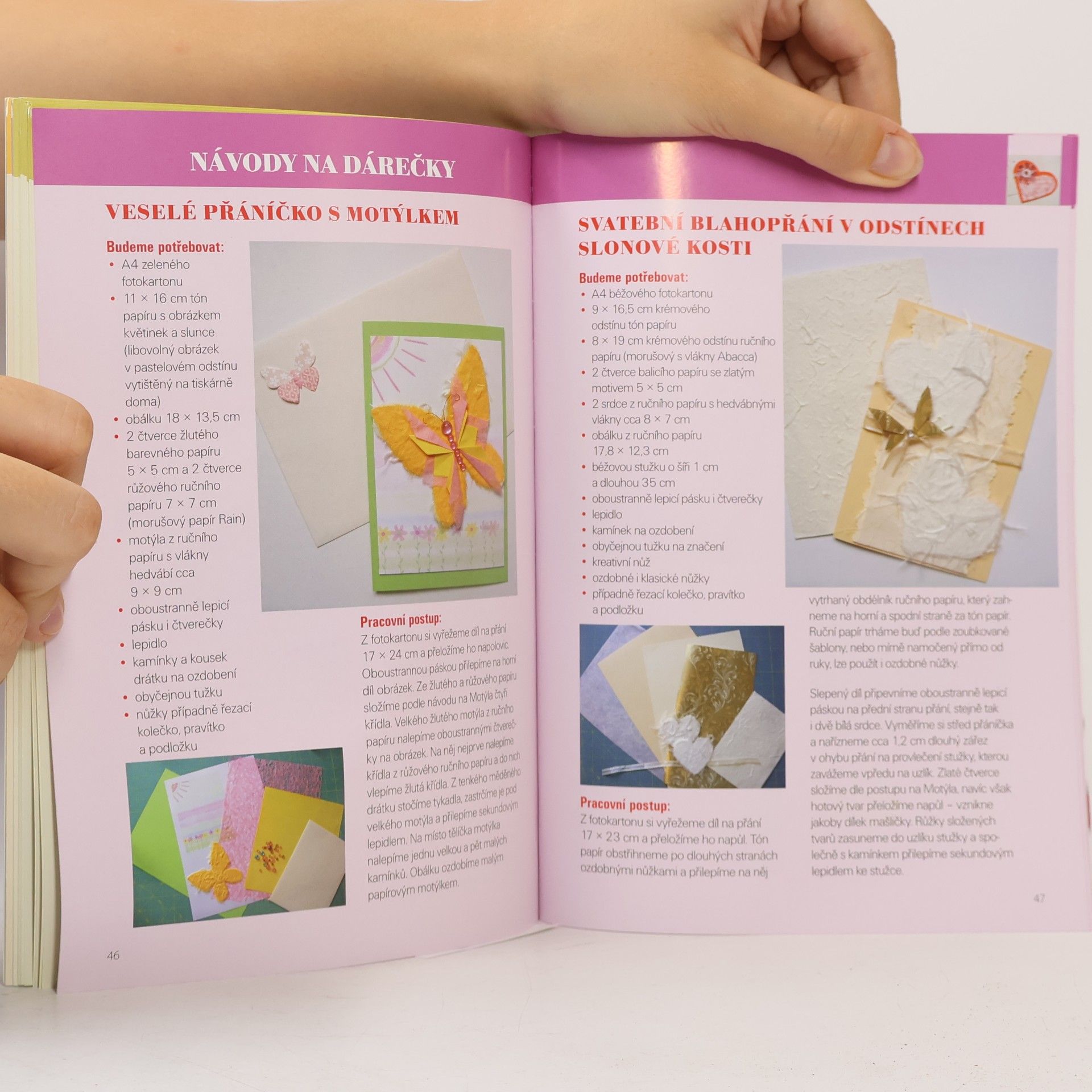 Ludmila Drozdková Skládání čajových sáčků – Tea Bag Folding