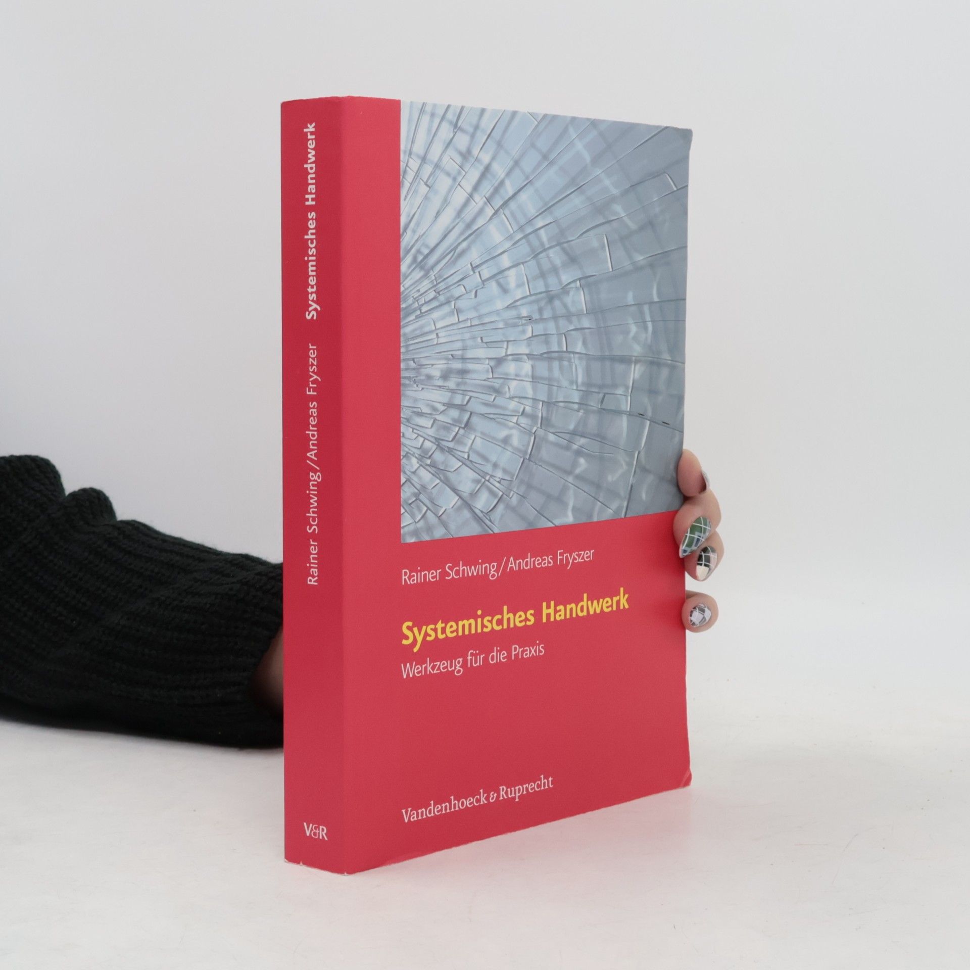 Rainer Schwing Systemisches Handwerk. Werkzeug für die Praxis