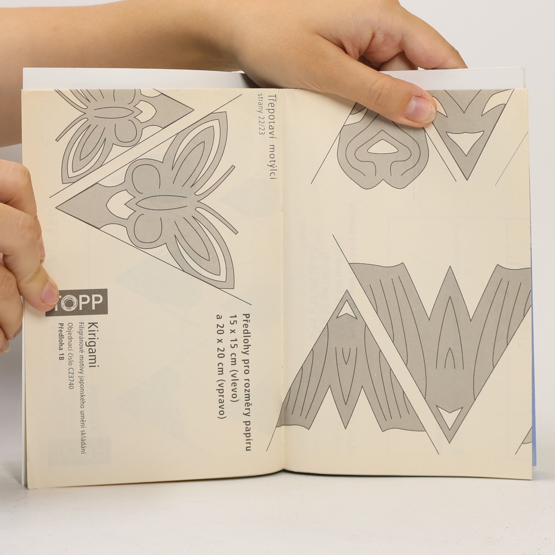 Armin Täubner Kirigami