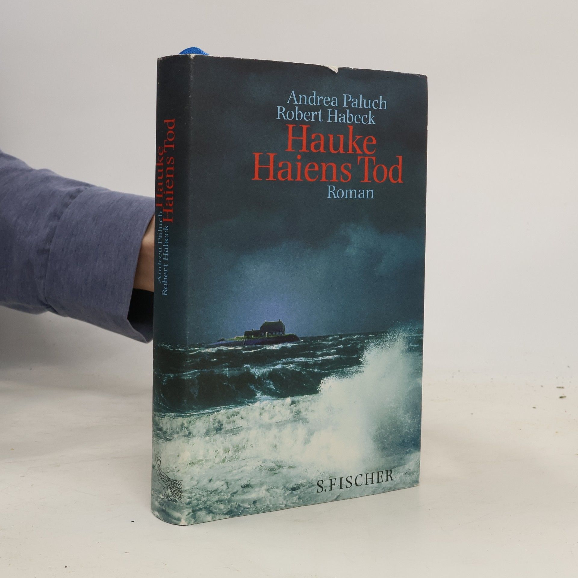 Andrea Paluch Hauke Haiens Tod