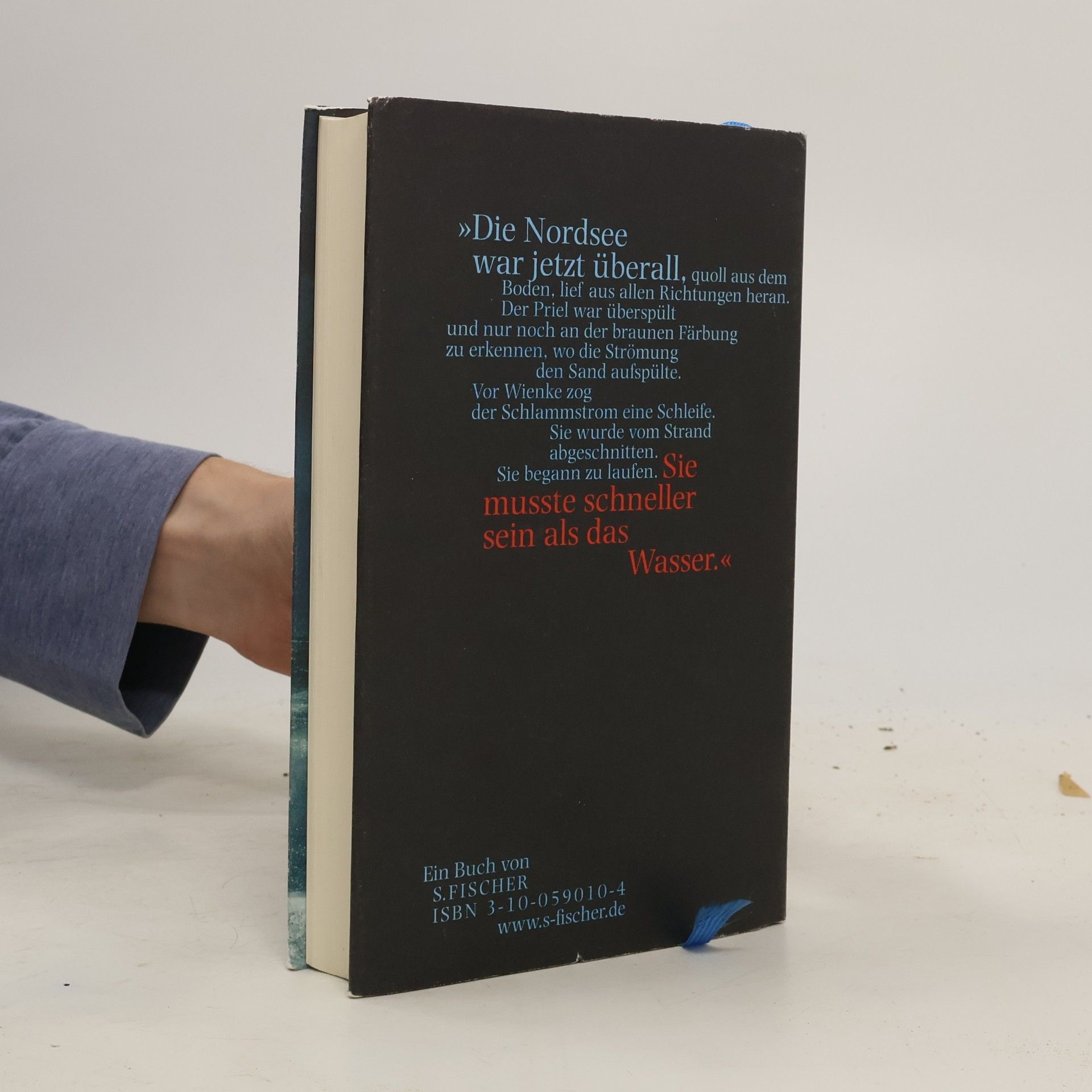 Andrea Paluch Hauke Haiens Tod