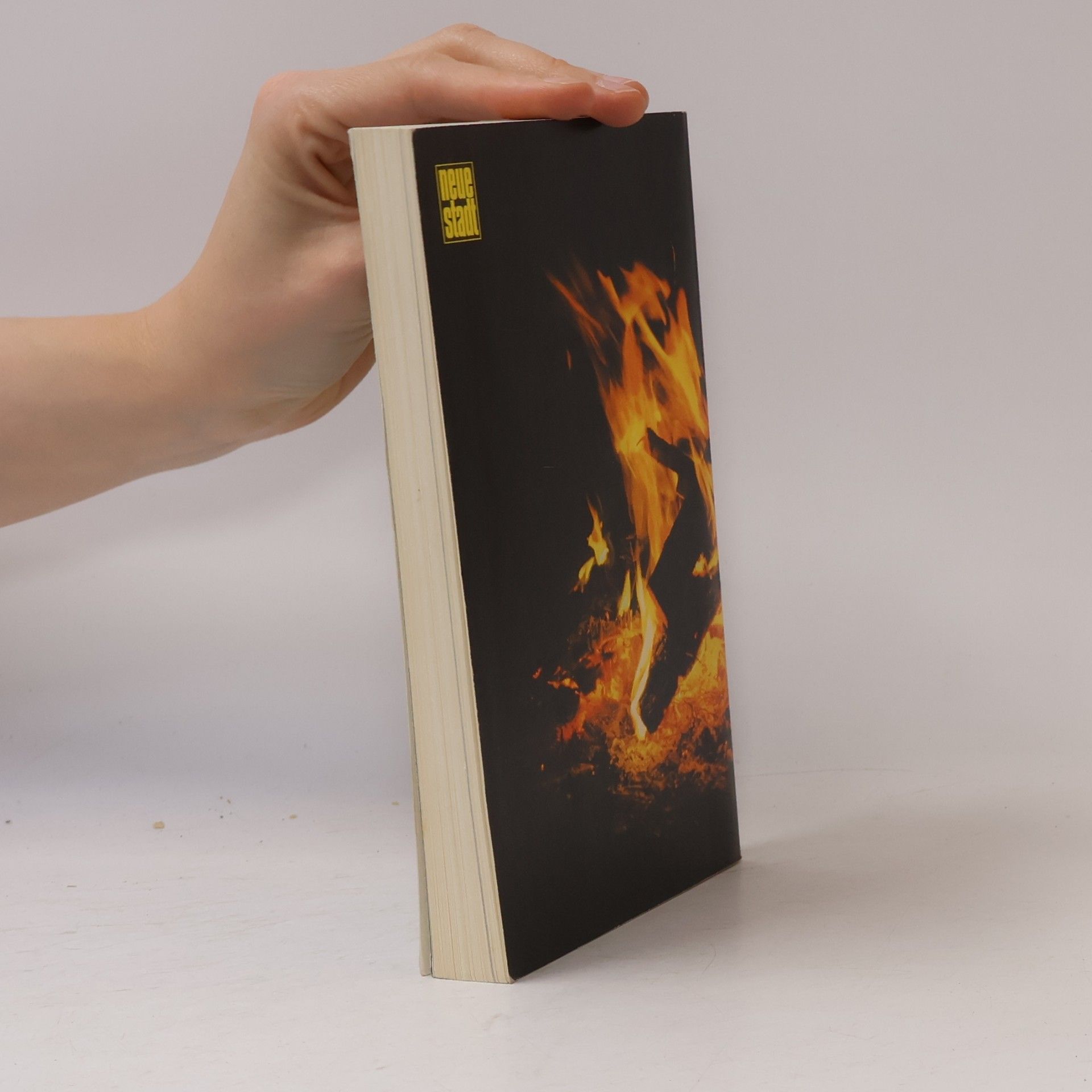 Polykarp Geiger Feuer und Funke