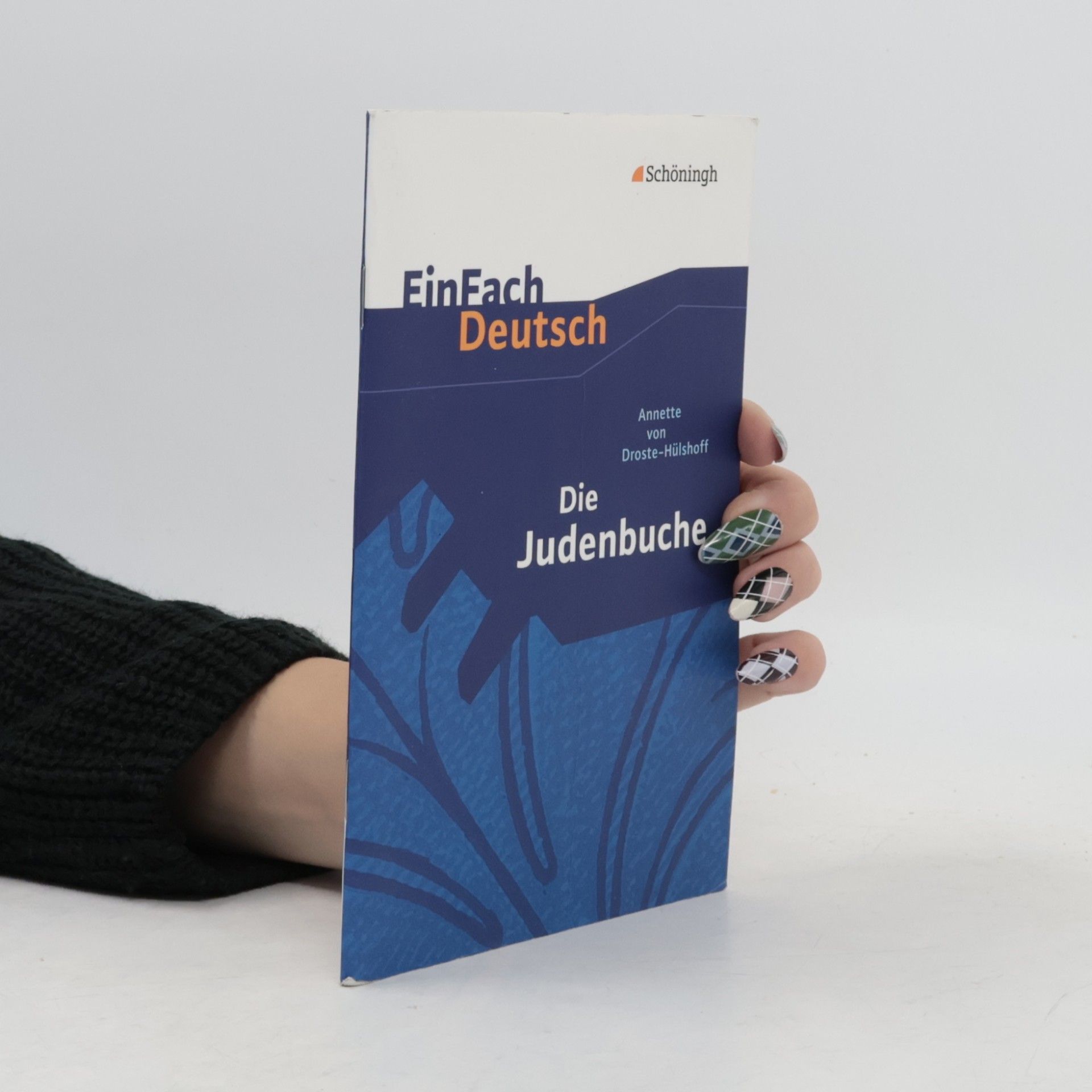 Doris Hönes Die Judenbuche: Ein Sittengemälde aus dem gebirgigen Westfalen. EinFach Deutsch Textausgaben