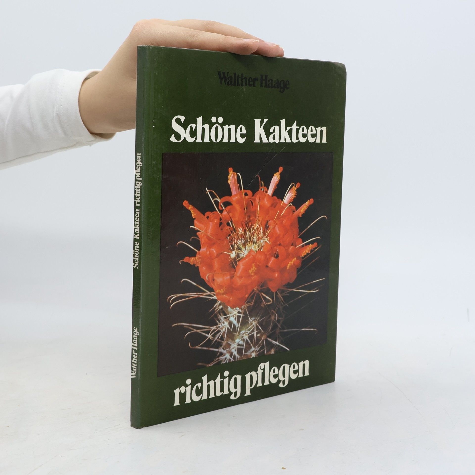Walther Haage Schöne Kakteen richtig pflegen