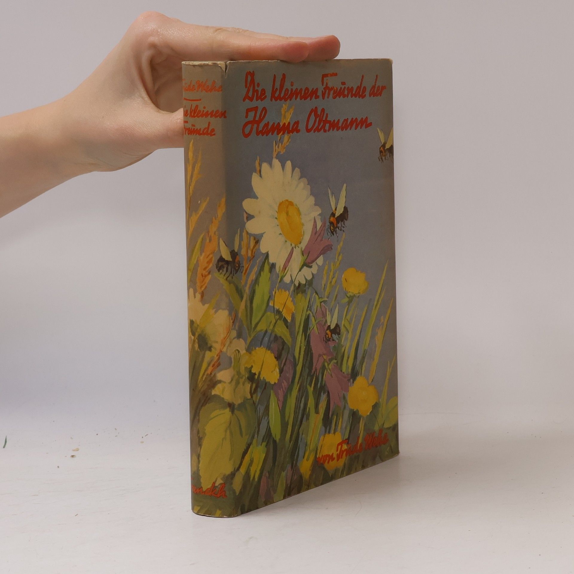 Autorenkollektiv Die kleinen Freunde der Hanna Oltmann