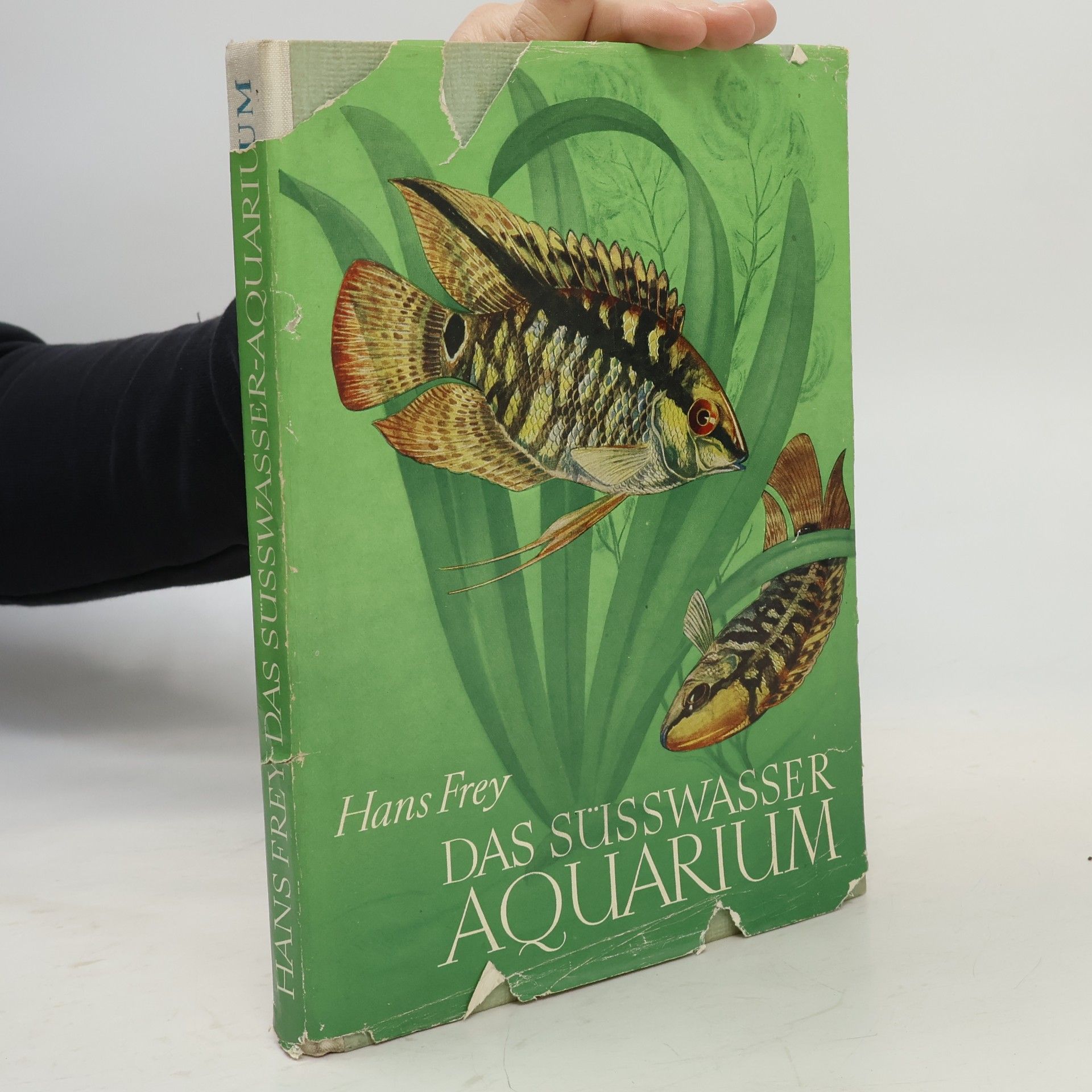 Hans-Jost Frey Das Süsswasser-Aquarium