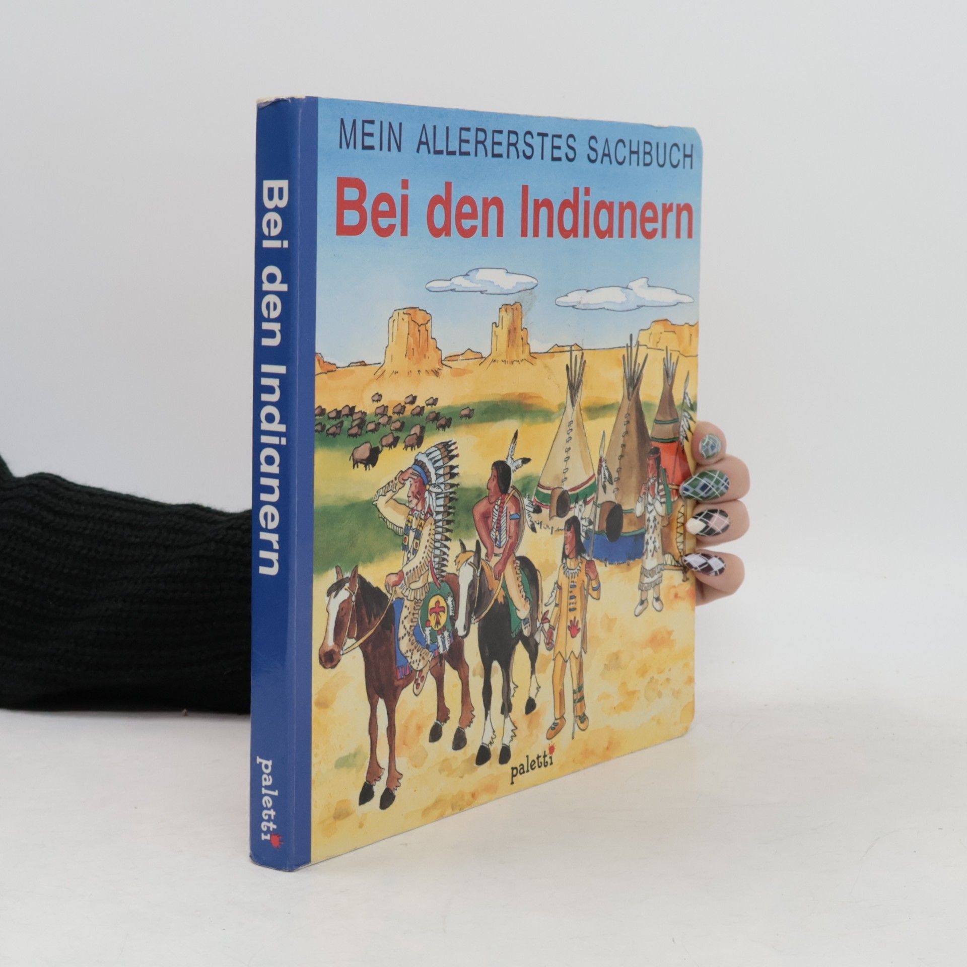 Peter Braun Bei den Indianern
