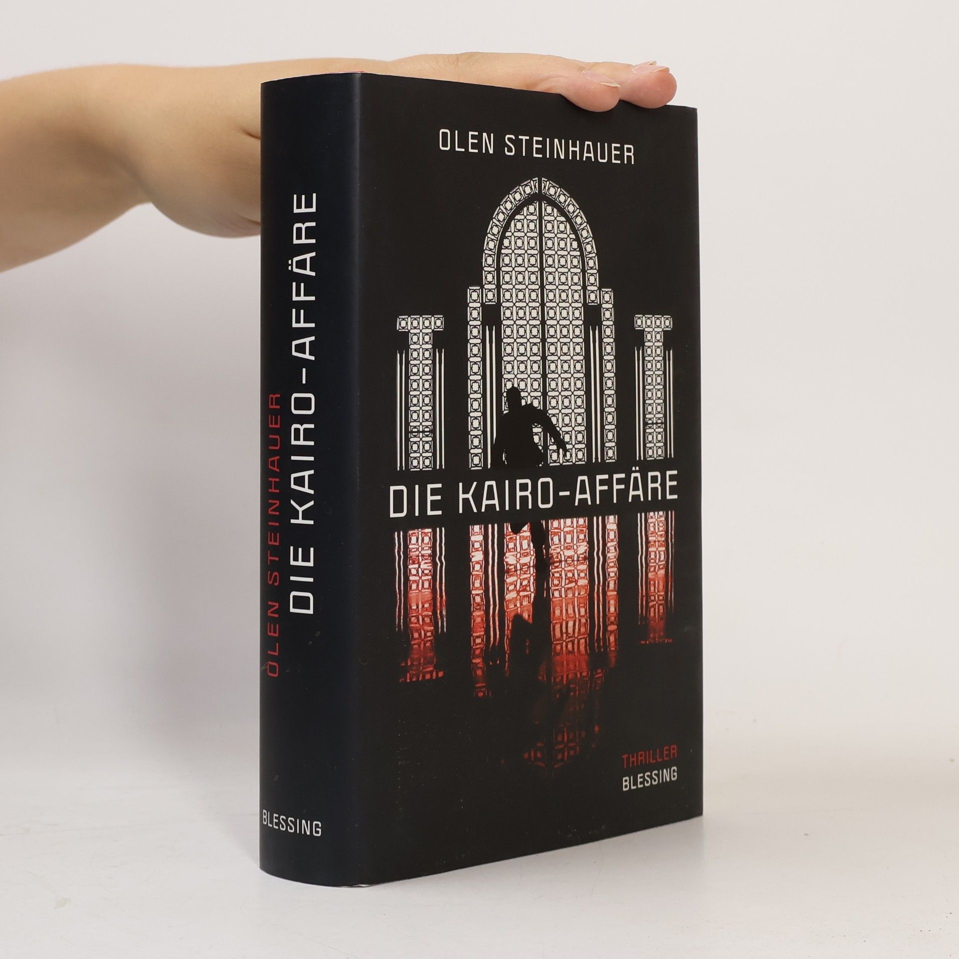 Olen Steinhauer Die Kairo-Affäre