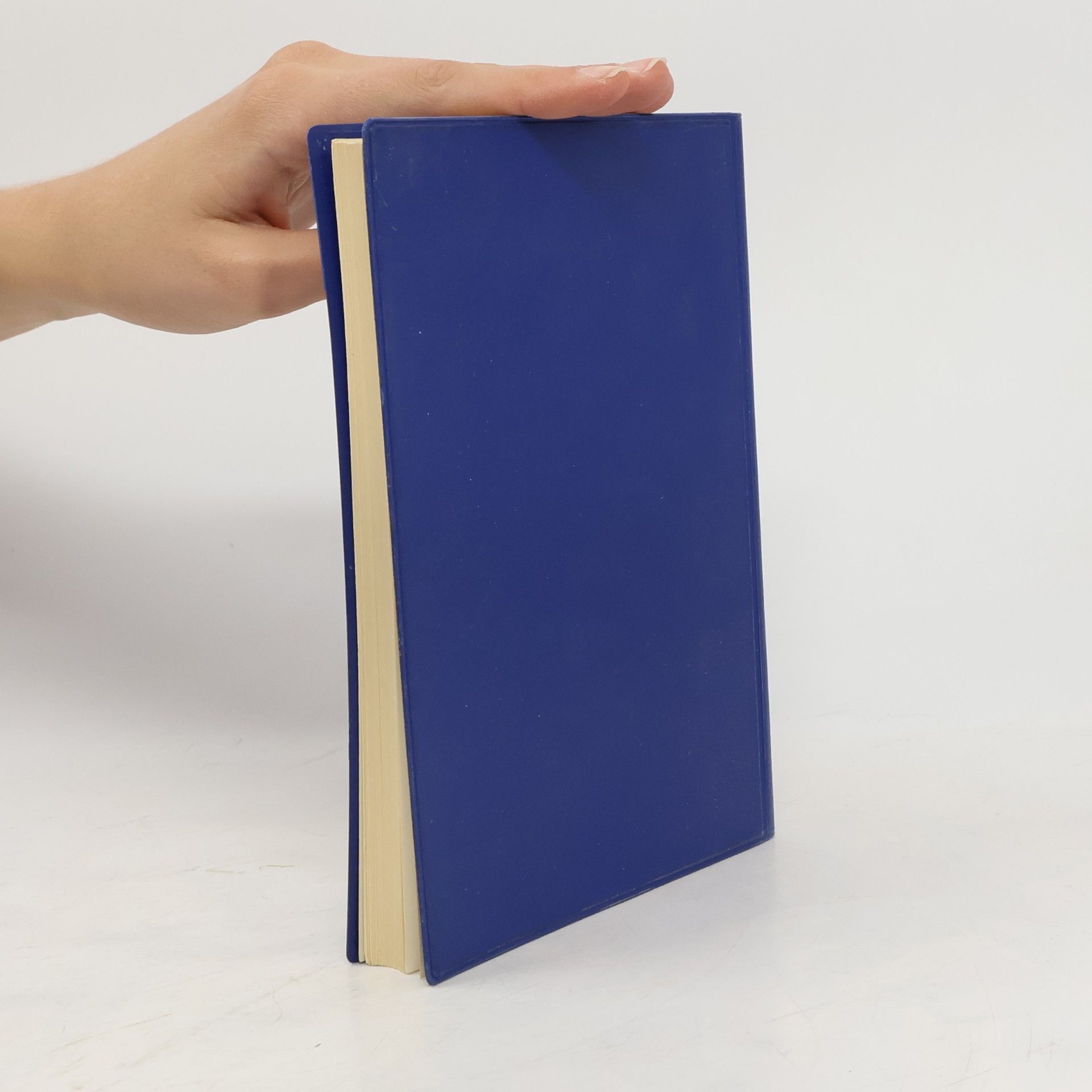 I. N. Bronštejn Taschenbuch der Mathematik