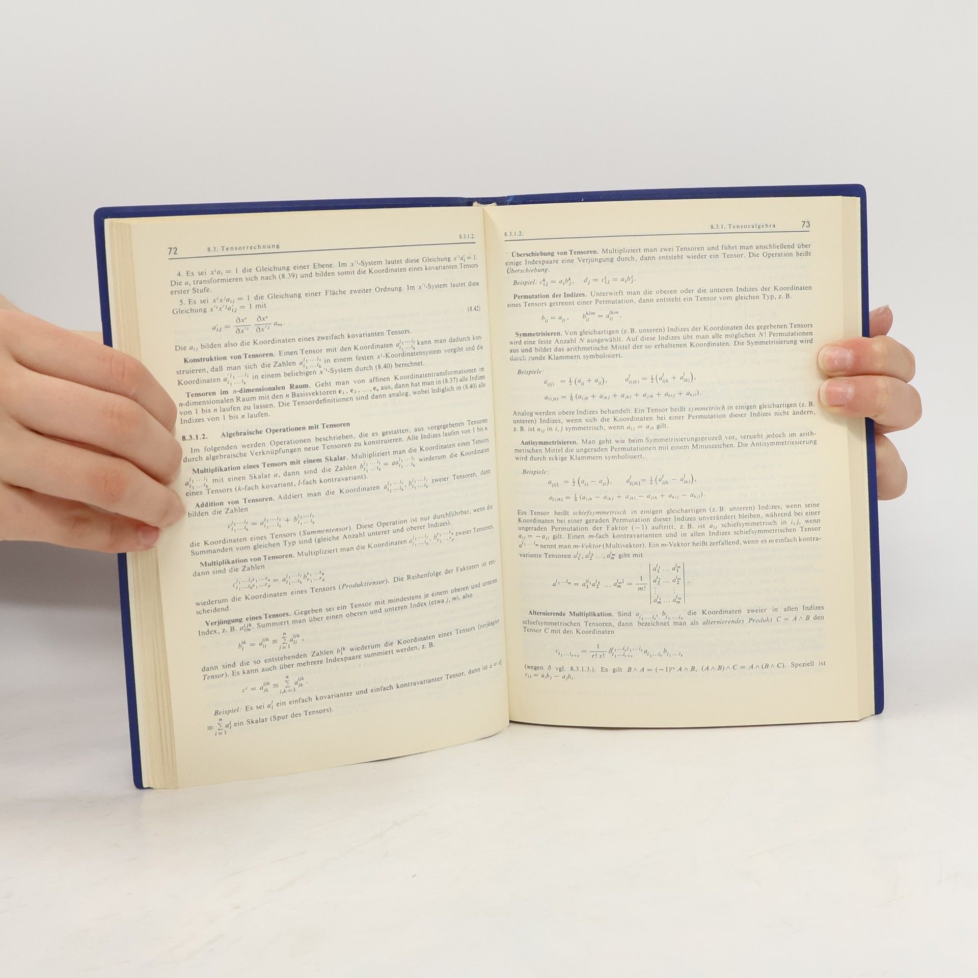 I. N. Bronštejn Taschenbuch der Mathematik