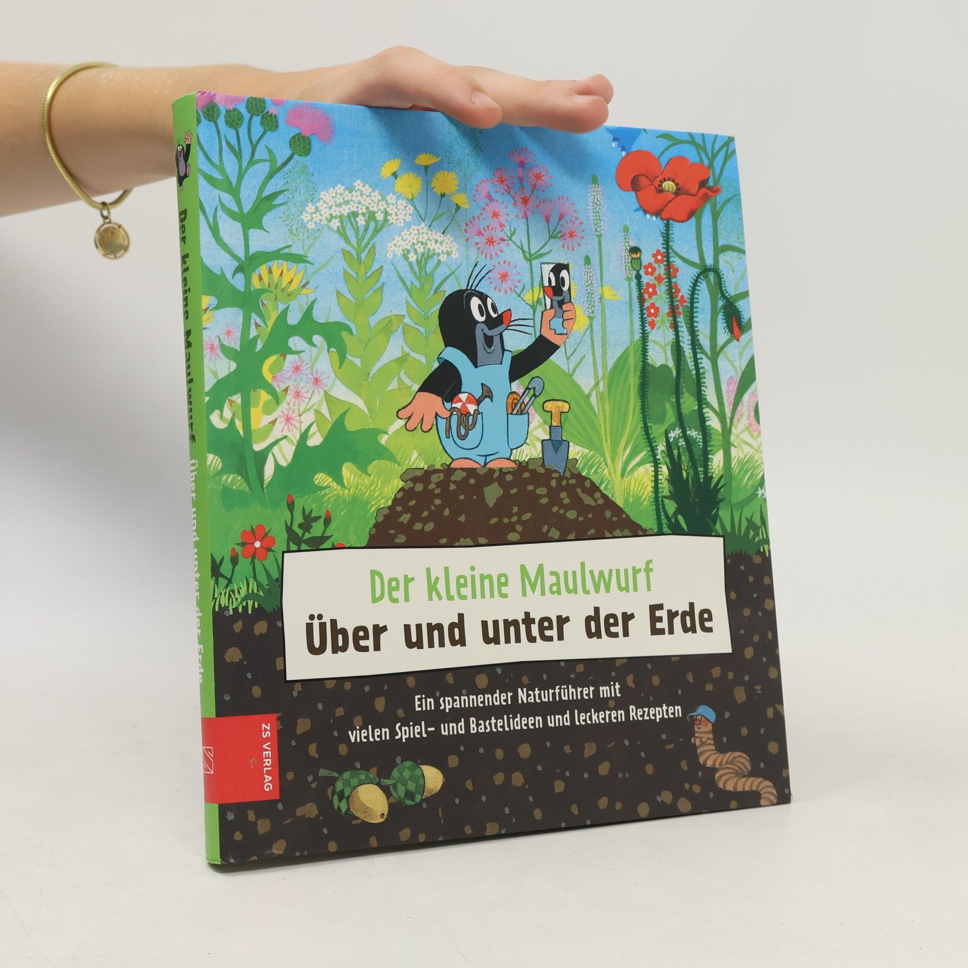 ZS-Team Der kleine Maulwurf: Über und unter der Erde