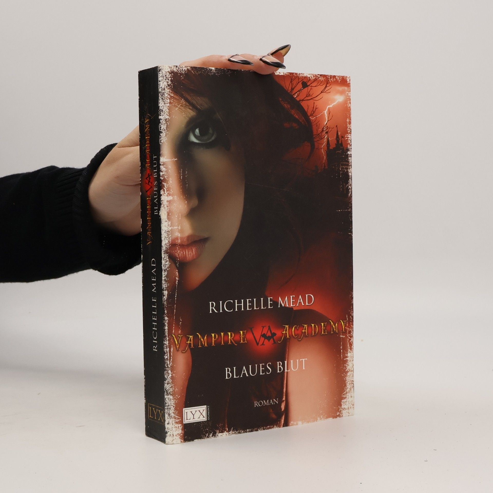 Richelle Mead Vampire Academy. Blaues Blut