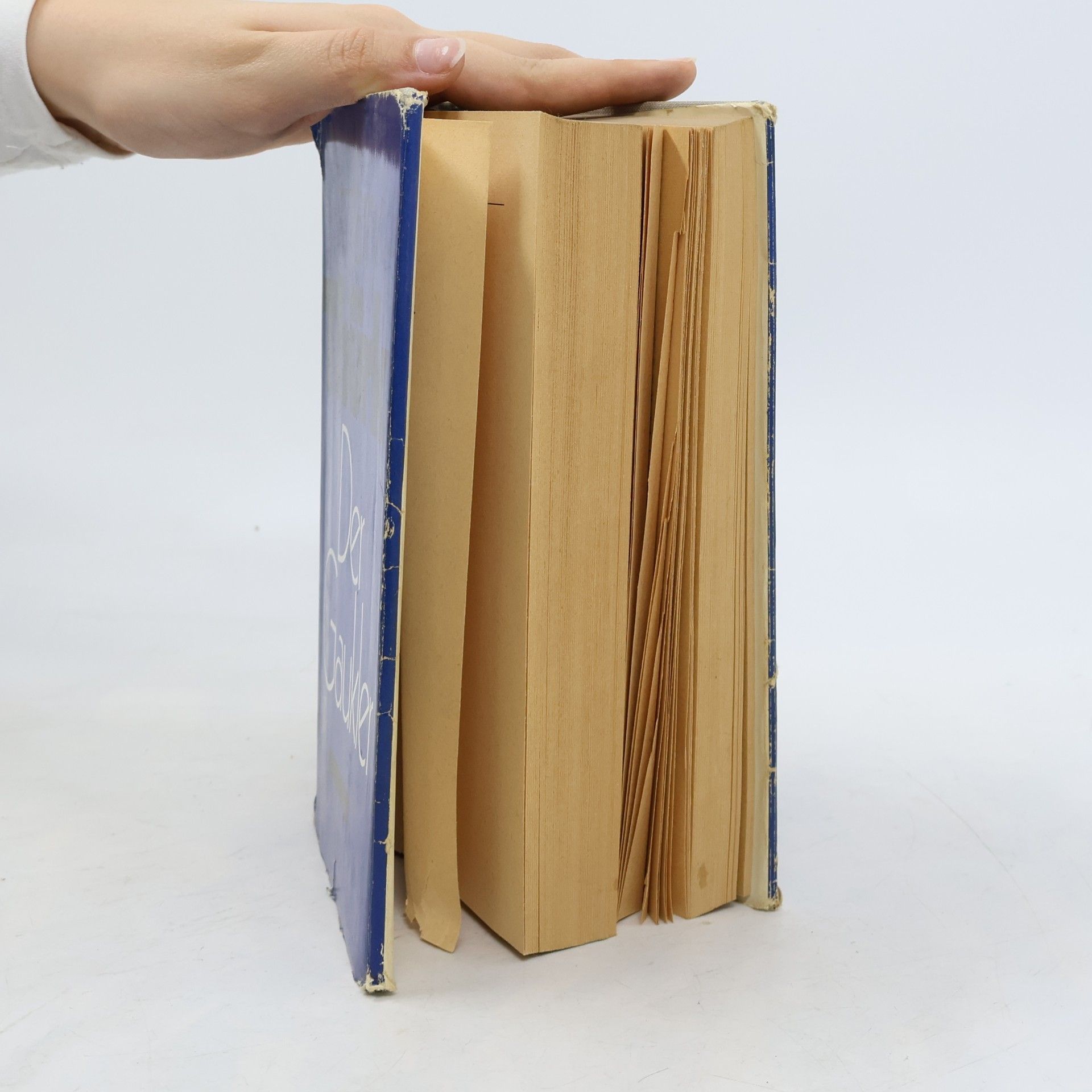 Harry Thürk Der Gaukler