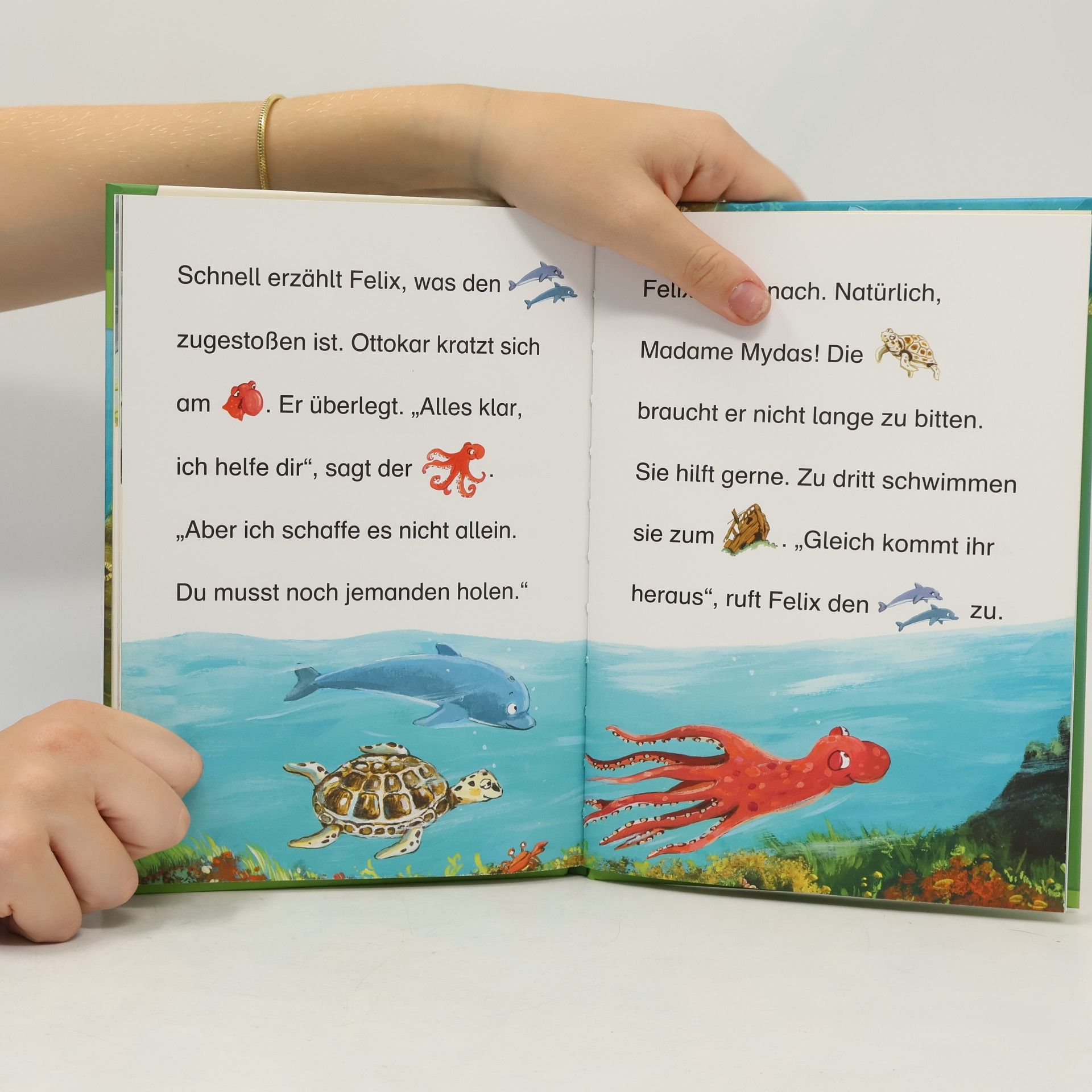 Dagmar Henze Der kleine Delfin auf Schatzsuche