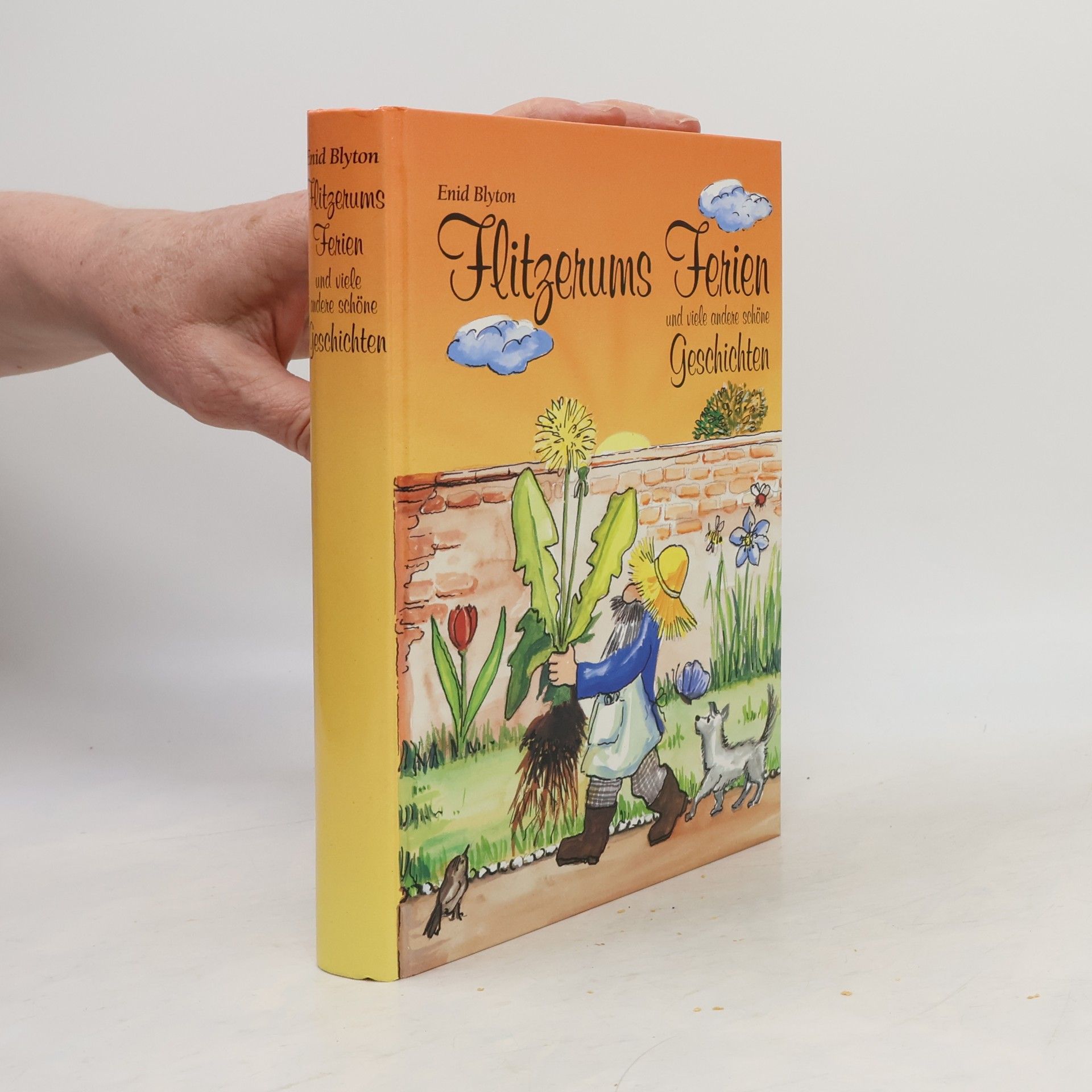 Enid Blyton Flitzerums Ferien und viele andere schöne Geschichten