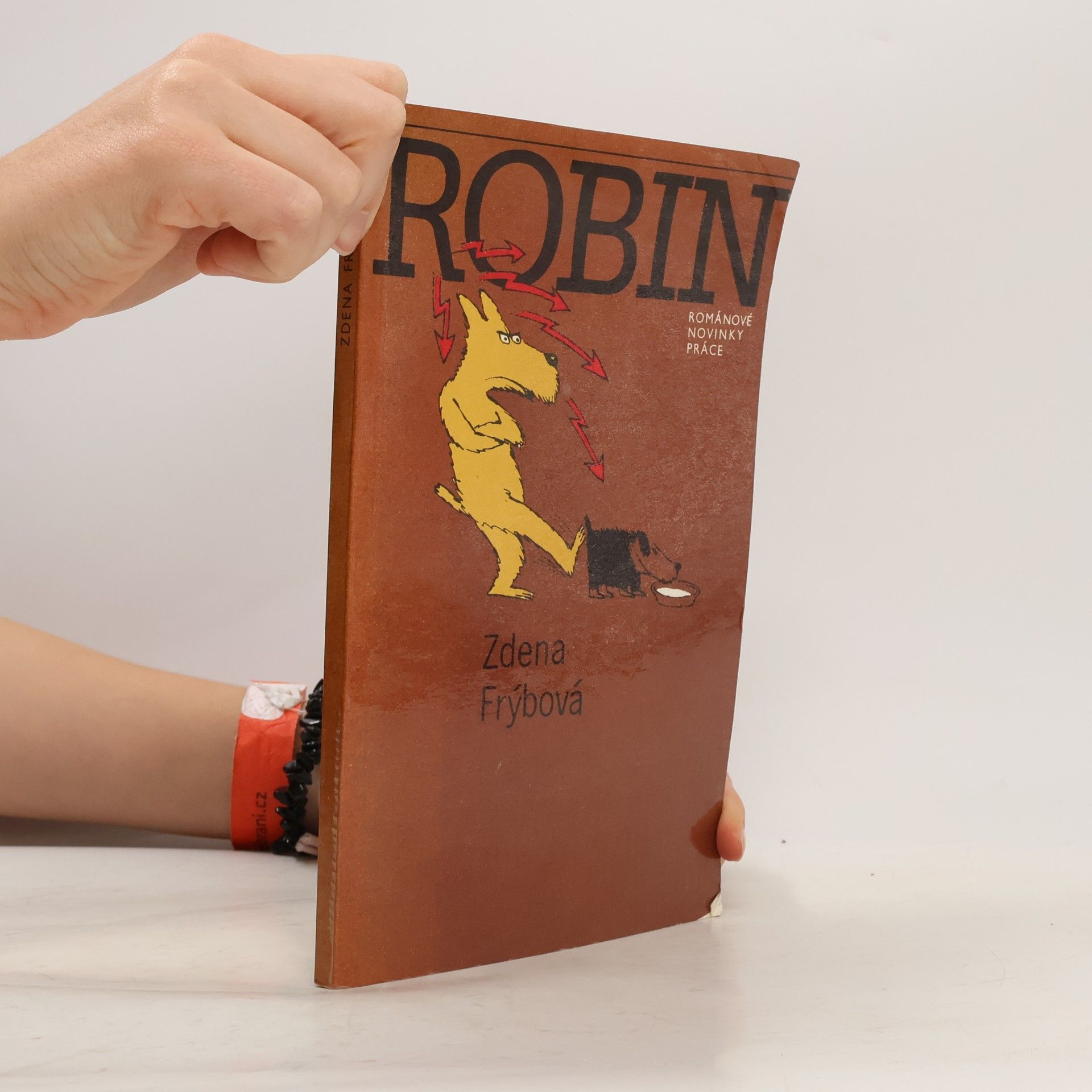 Robin