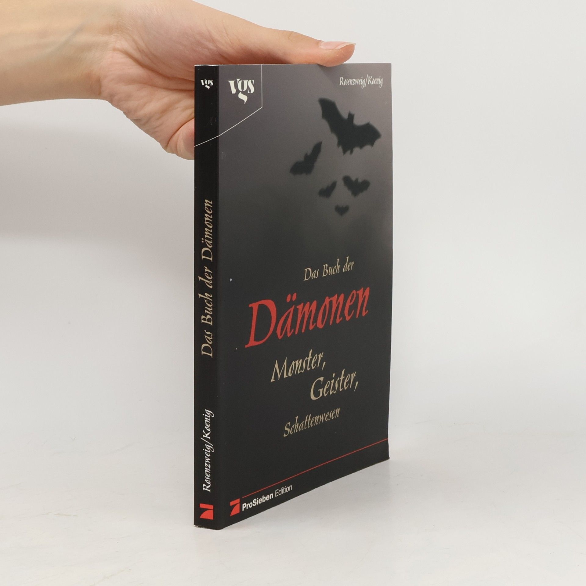 Tabea Rosenzweig Das Buch der Dämonen