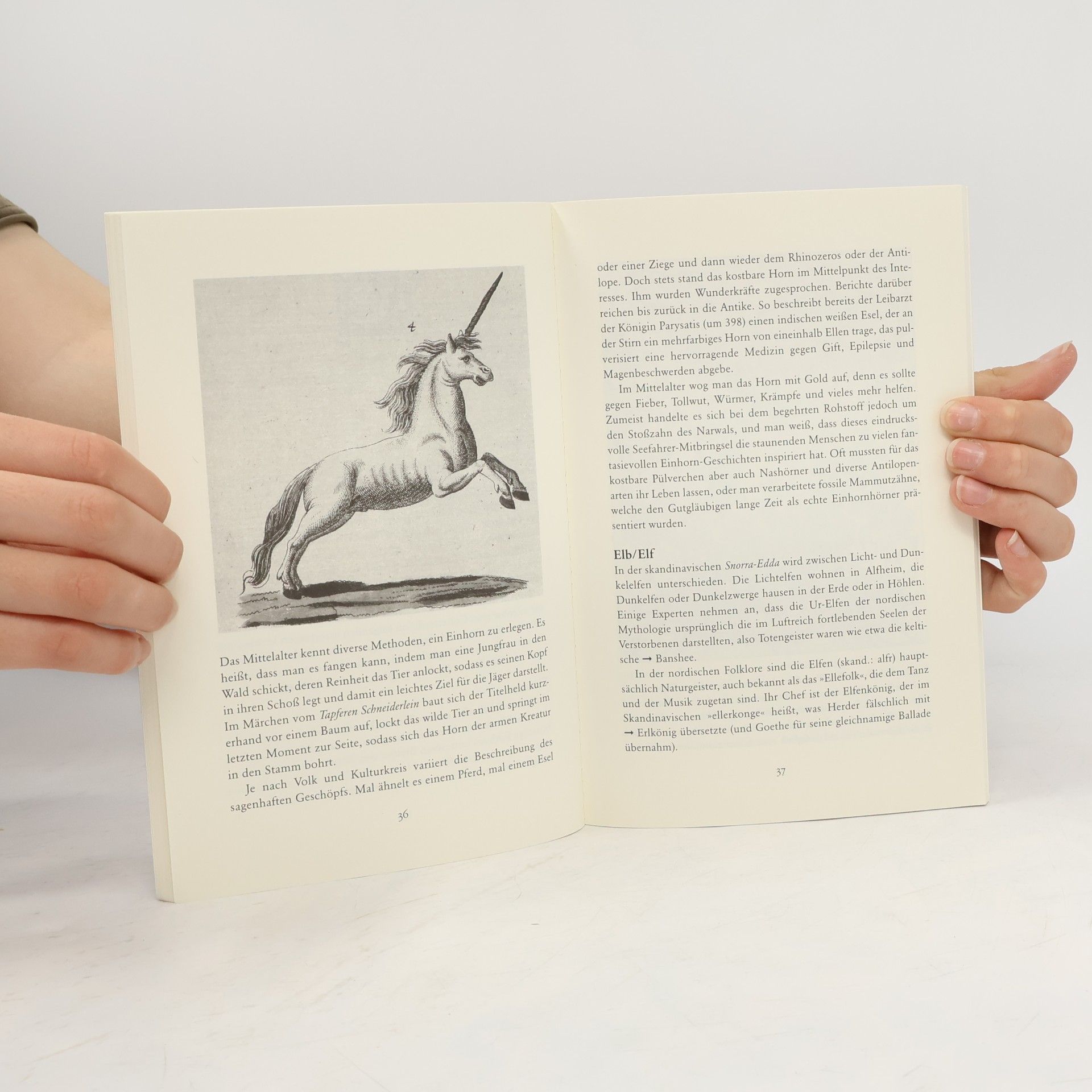 Tabea Rosenzweig Das Buch der Dämonen