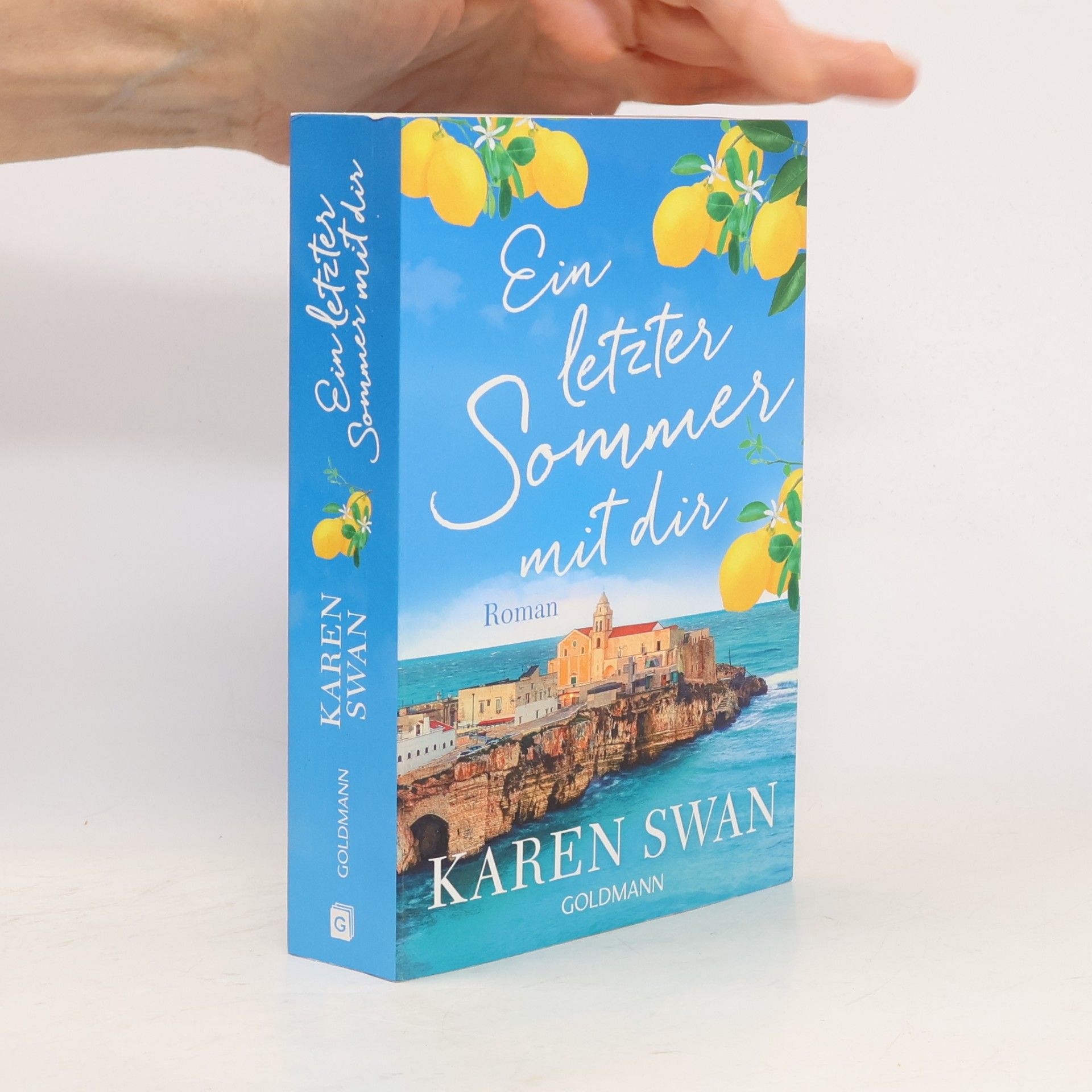 Karen Swan Ein letzter Sommer mit dir