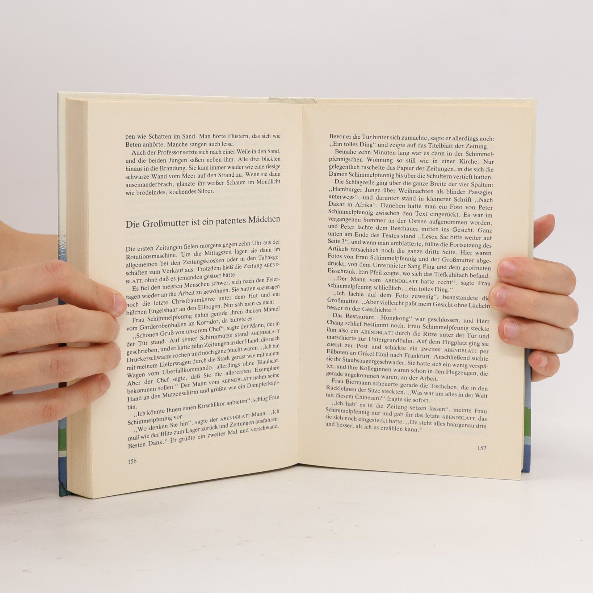Alfred Weidenmann Der blinde Passagier