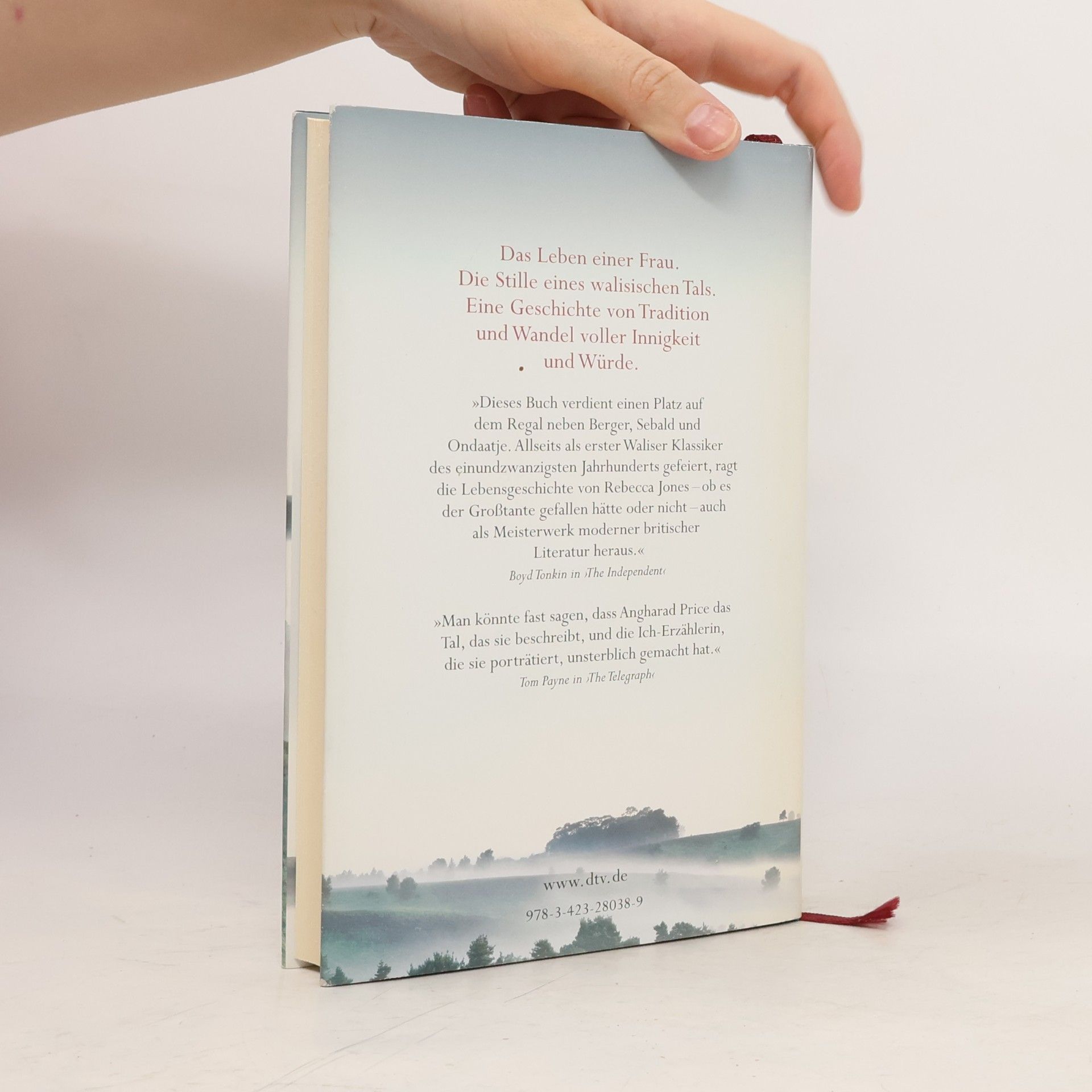 Angharad Price Das Leben der Rebecca Jones