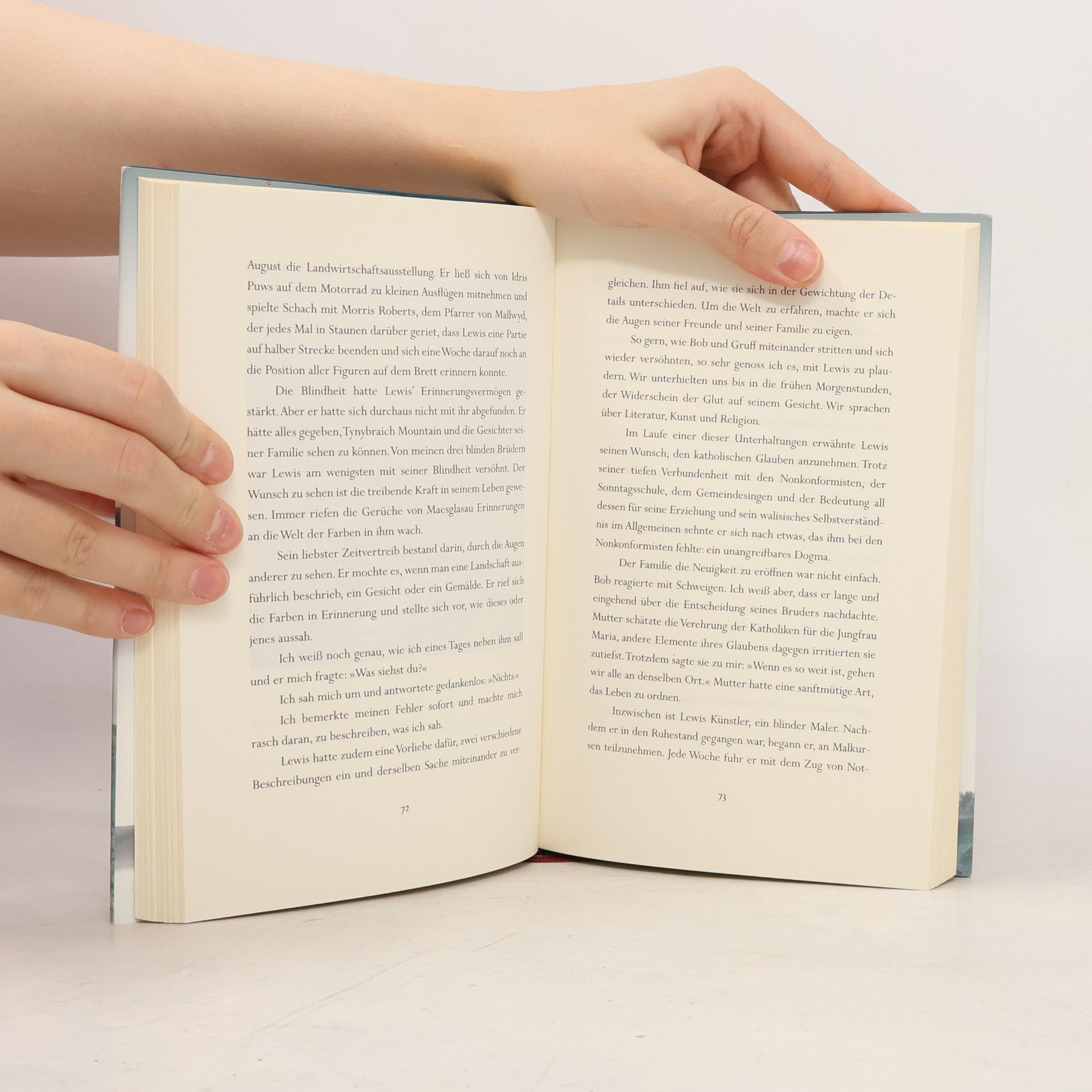 Angharad Price Das Leben der Rebecca Jones