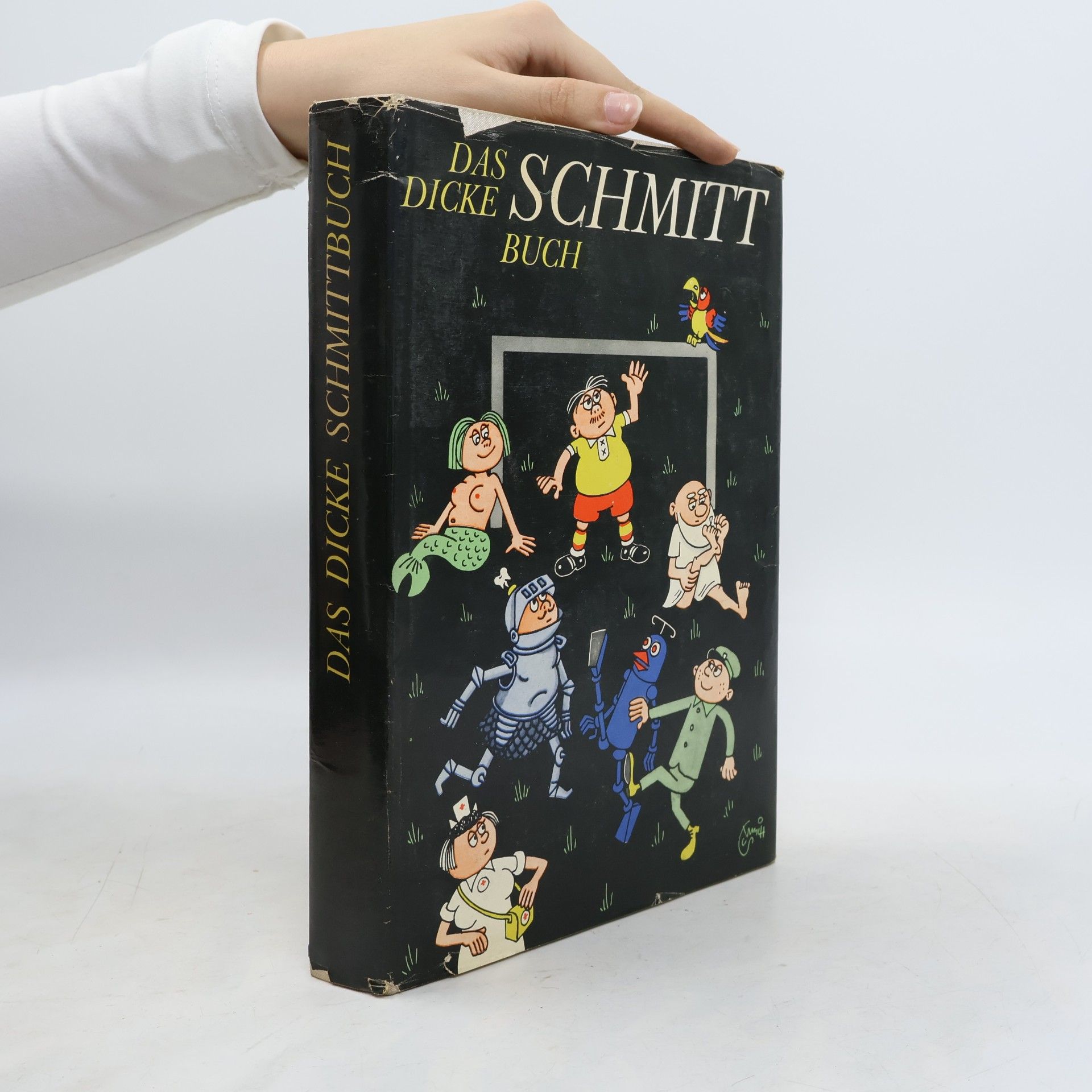 Das dicke Schmitt Buch
