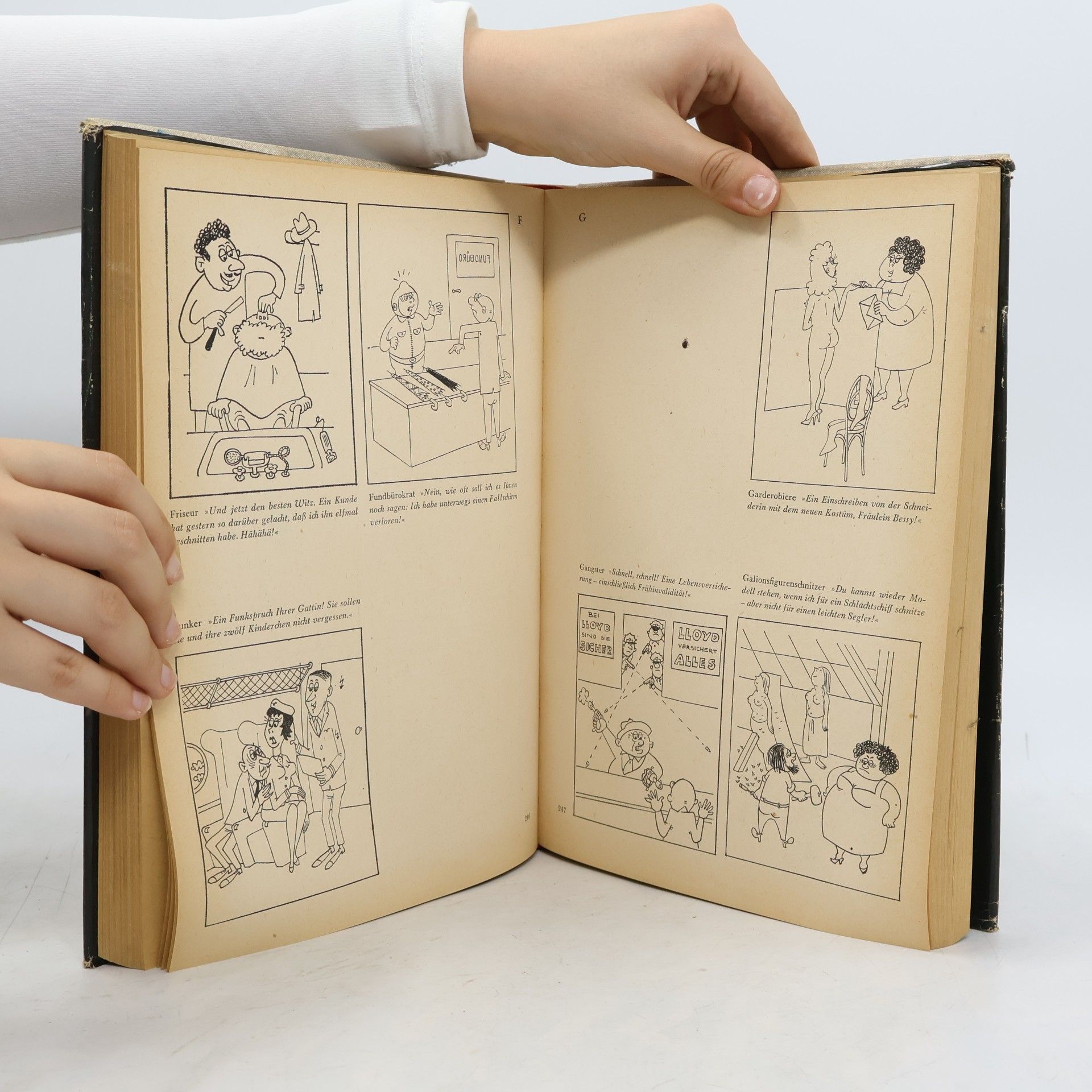 Schmitt Das dicke Schmitt Buch