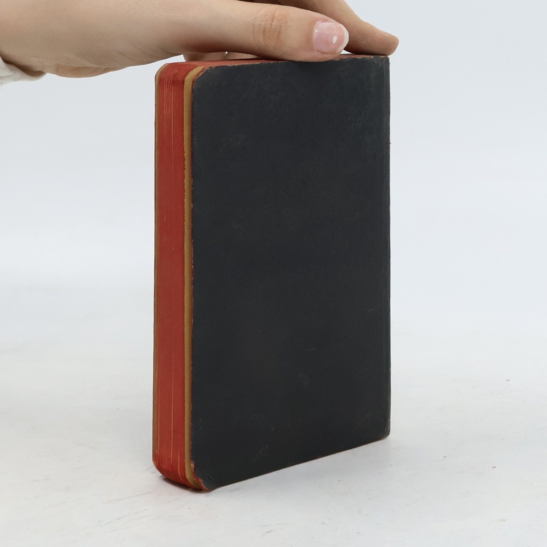 Martin Luther Taschen-Testament mit Bildern