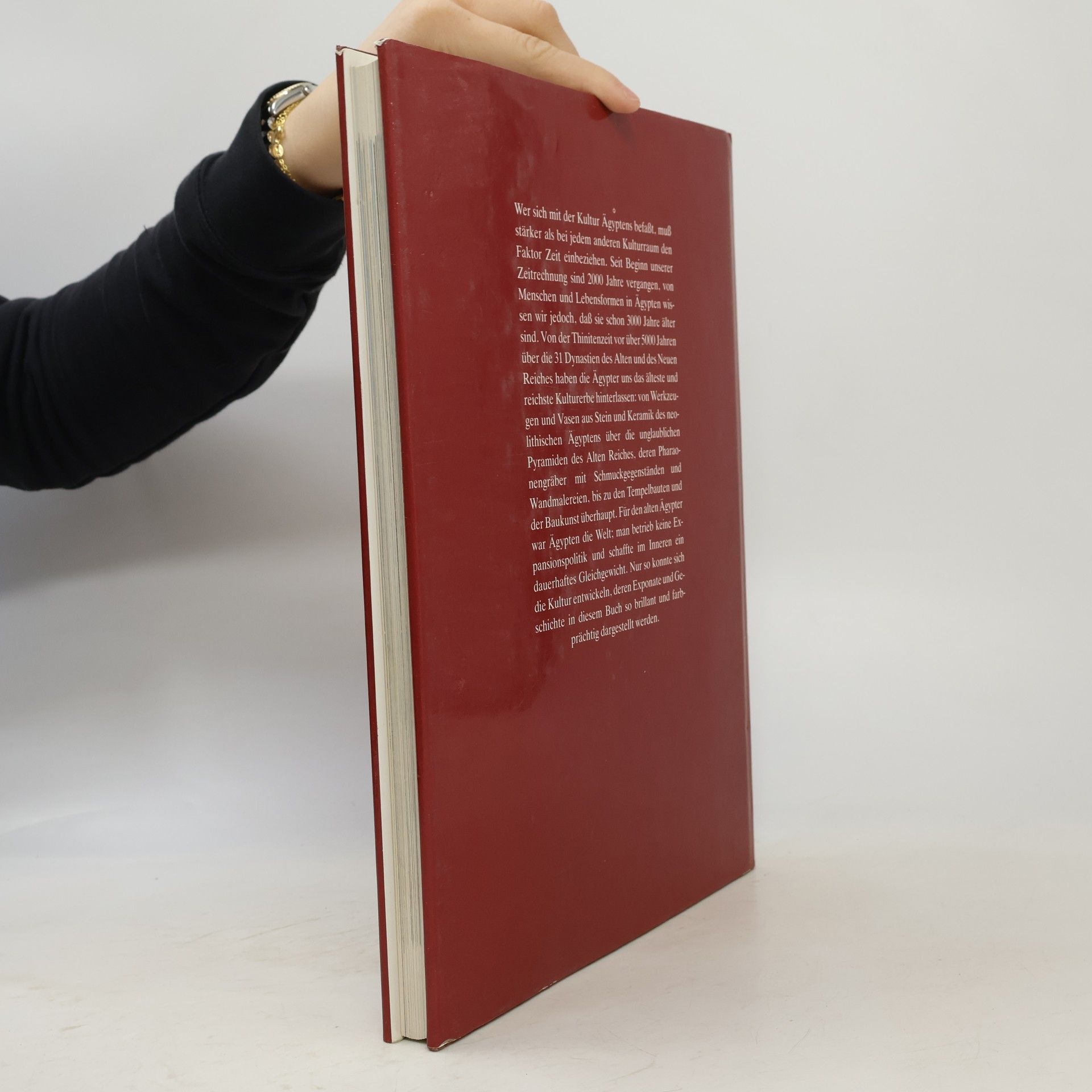 Collectif d'auteurs Momumente großer Kulturen. Ägypten