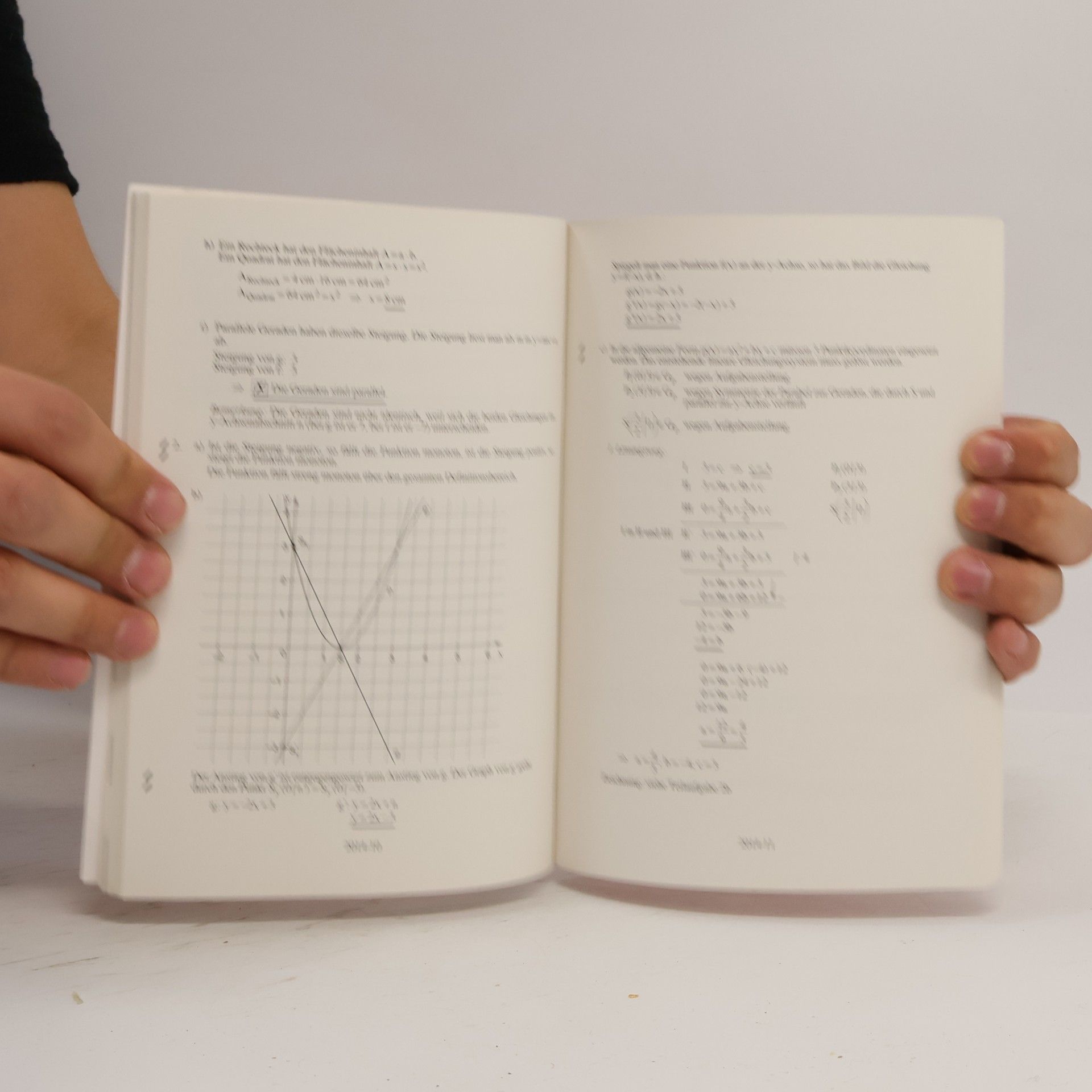 Zentrale Prüfung 2019 - Gymnasium Brandenburg - Mathematik 10. Klasse