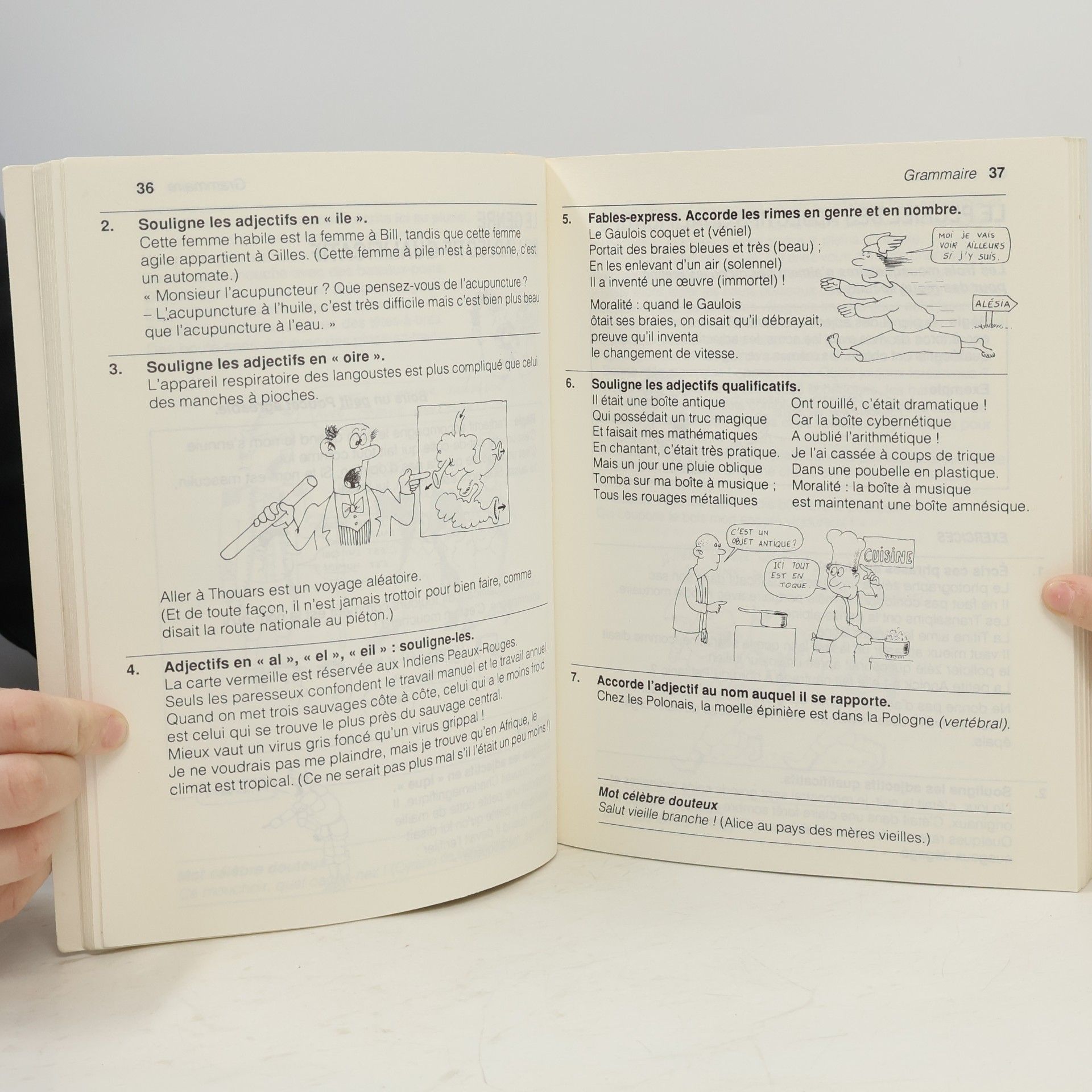 Yak Rivais Grammaire impertinente, 9-15 ans