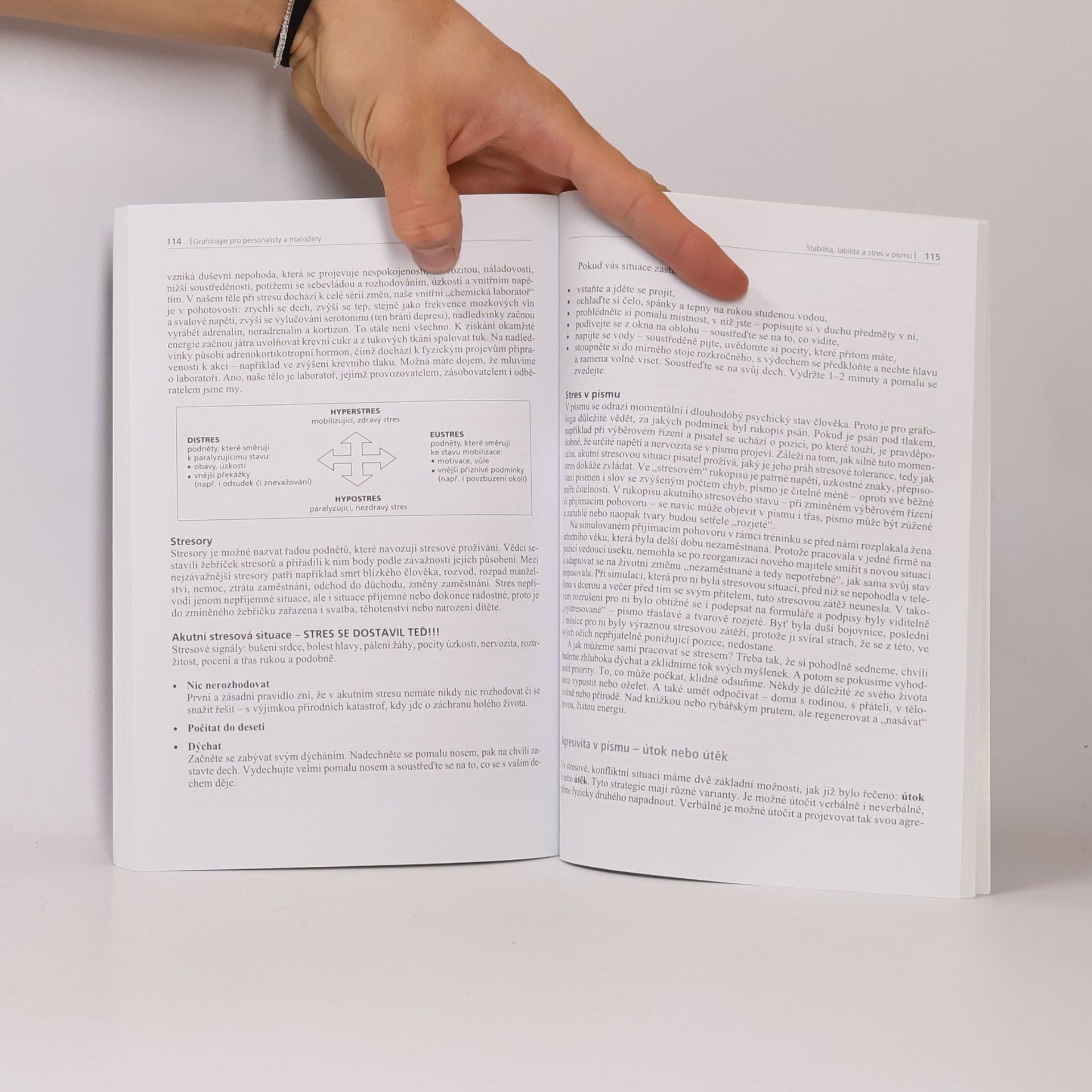 Dana Češková Lukášová Grafologie pro personalisty a manažery